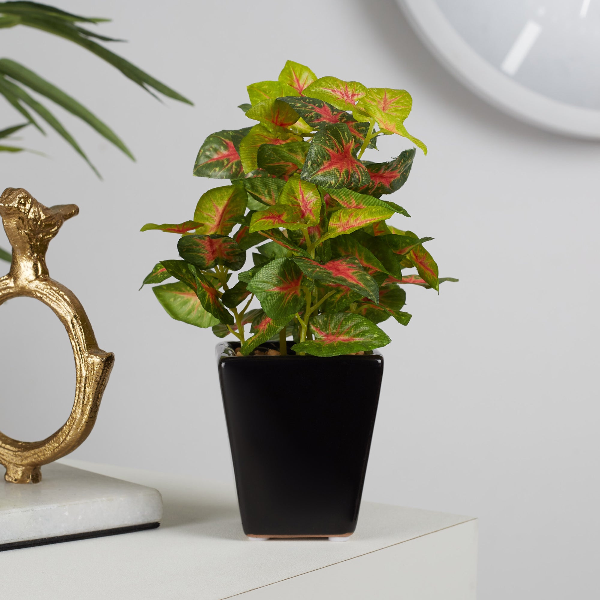 Ilana  Faux Caladium Ceramic Potted Plant 19 Cm in Green Colour