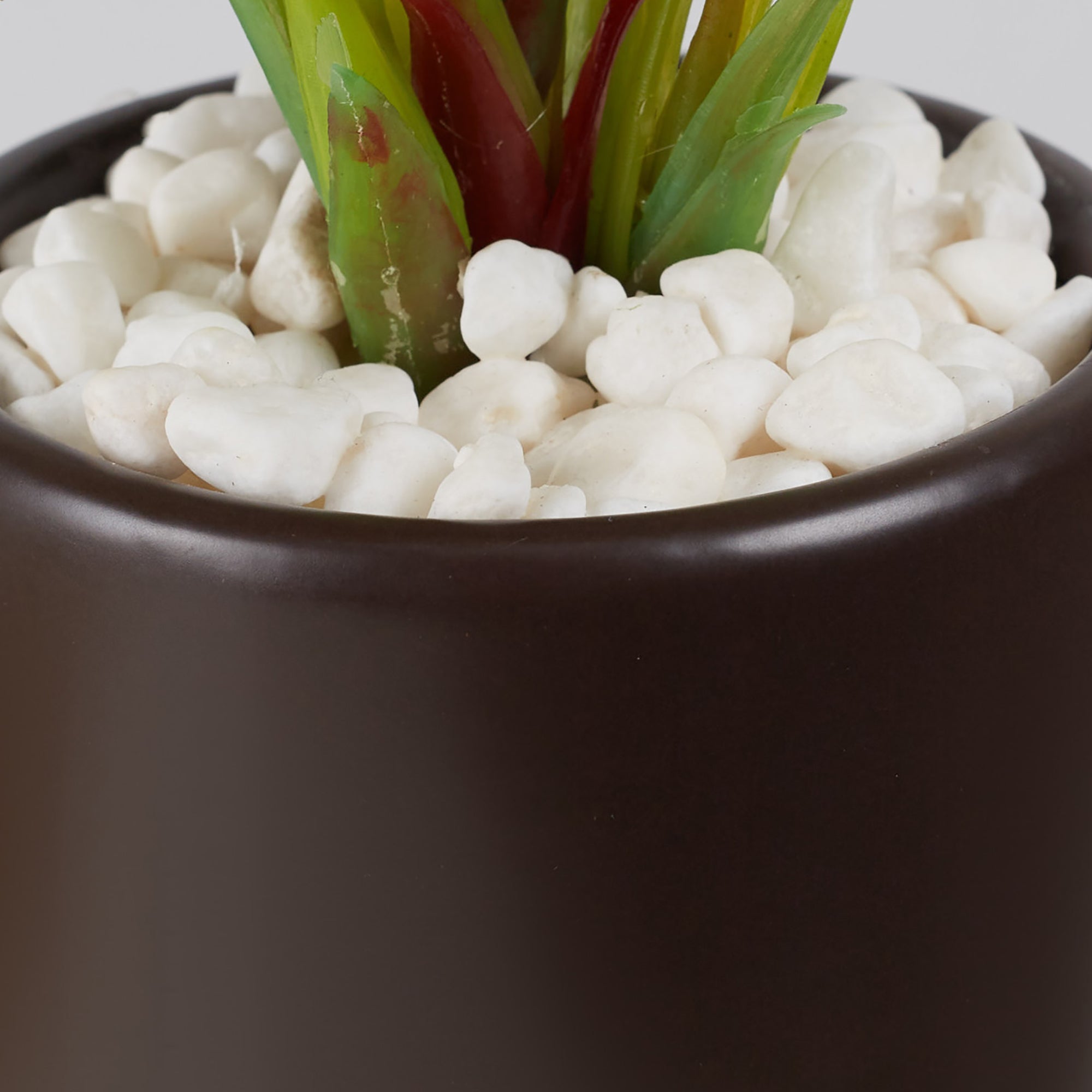 Ilana Faux Maranta Ceramic Potted Plant 25 Cm in Green Colour