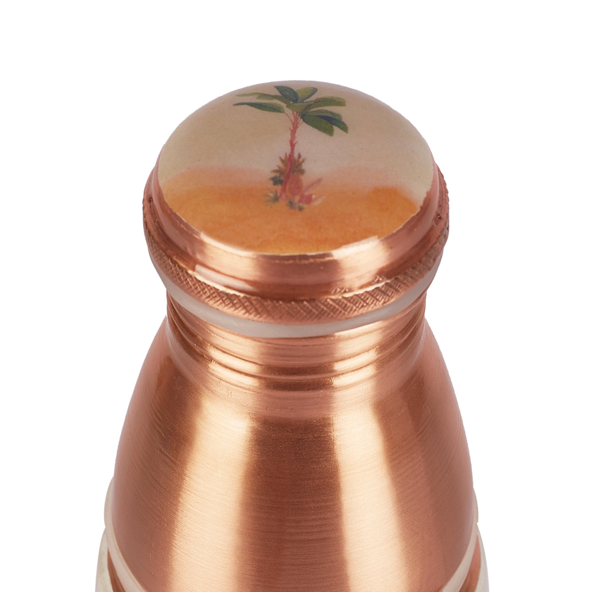 Oasis Copper Copper Bottle (1 Liter) & Tumbler (300ml) Set of 3 in Multi Colour