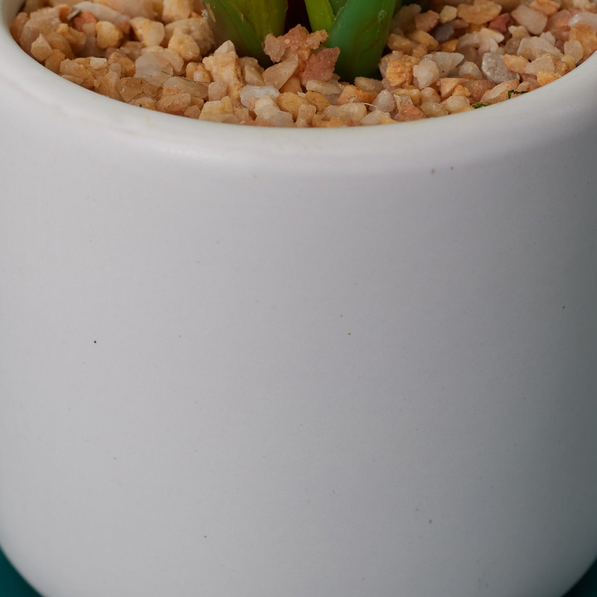 Ilana Faux Dieffnbchia 2 Ceramic Potted Plant 25 Cm in Green Colour
