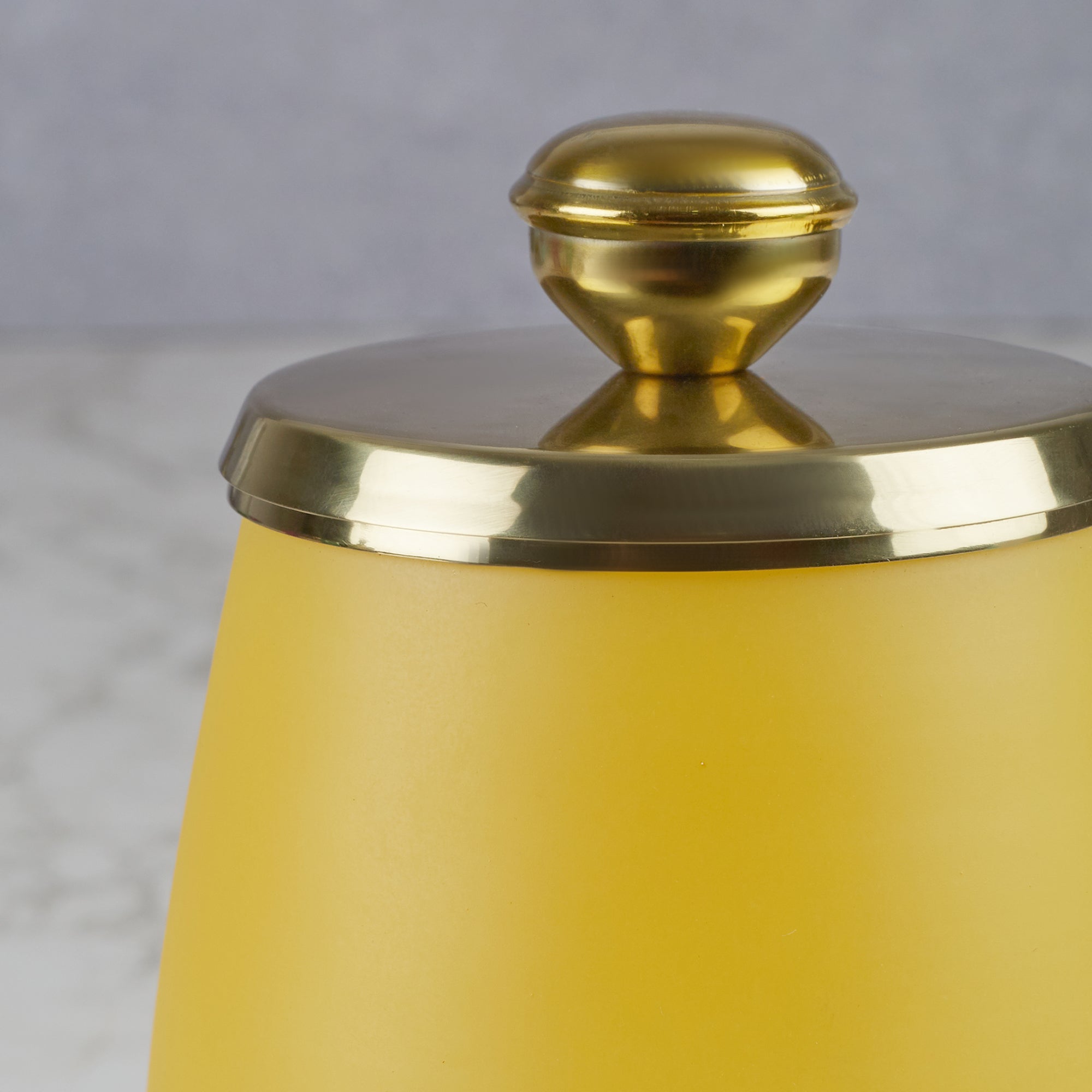 Emilia Glass Frosted Colored Tumbler in Yellow Colour