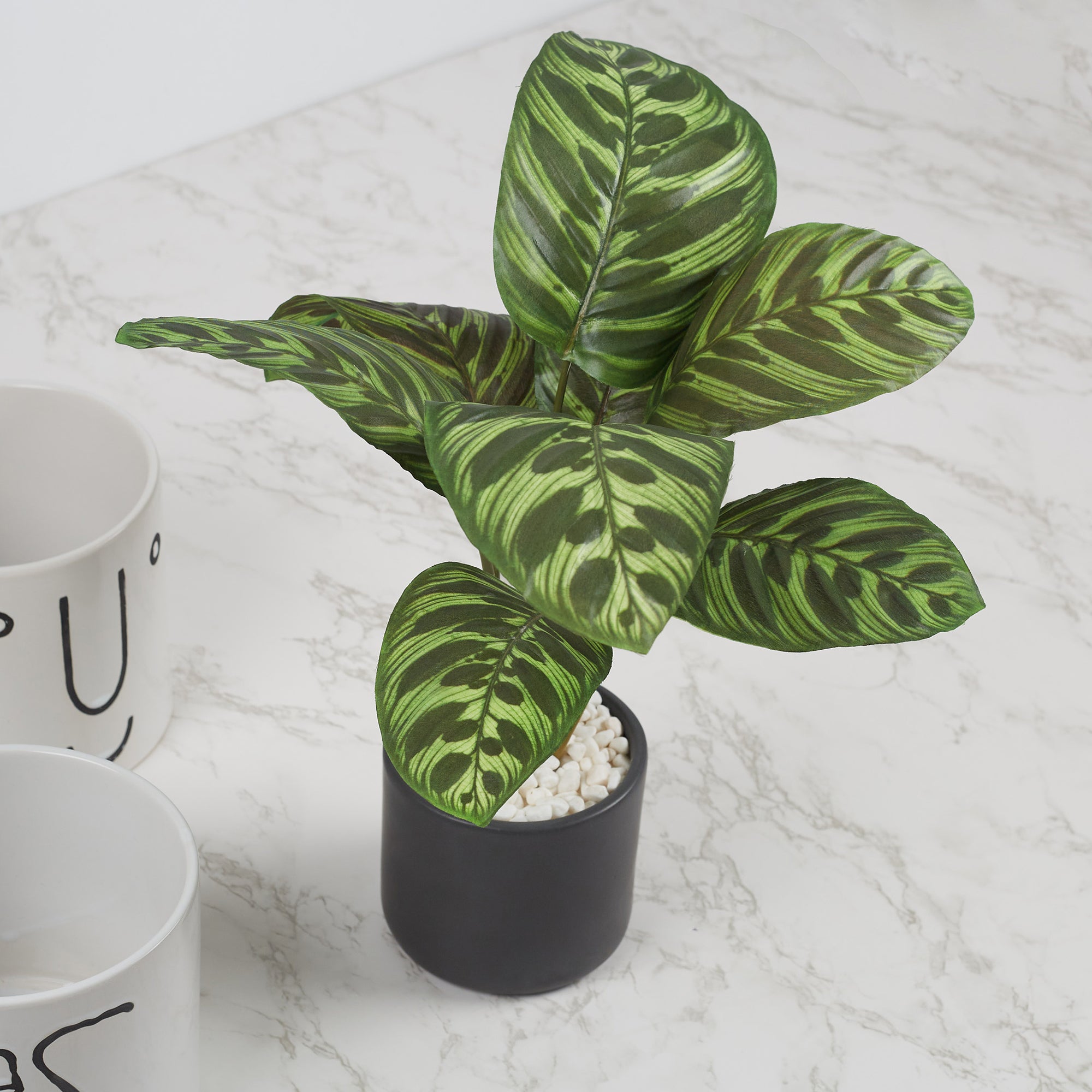 Ilana Faux Calathea Ceramic Potted Plant 42 Cm in Green Colour
