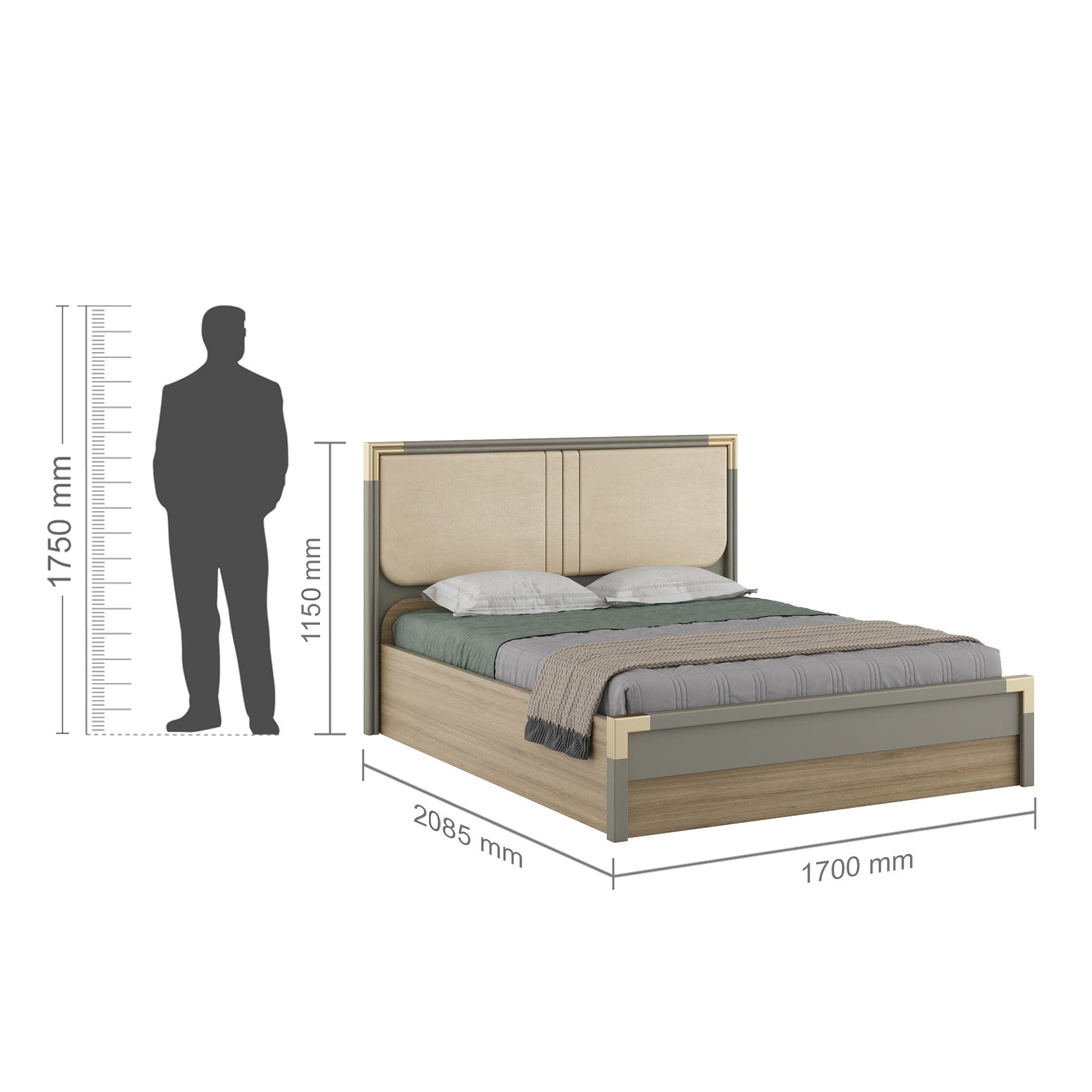 Asa Engineered Wood Queen Bed in Santana Oak Colour