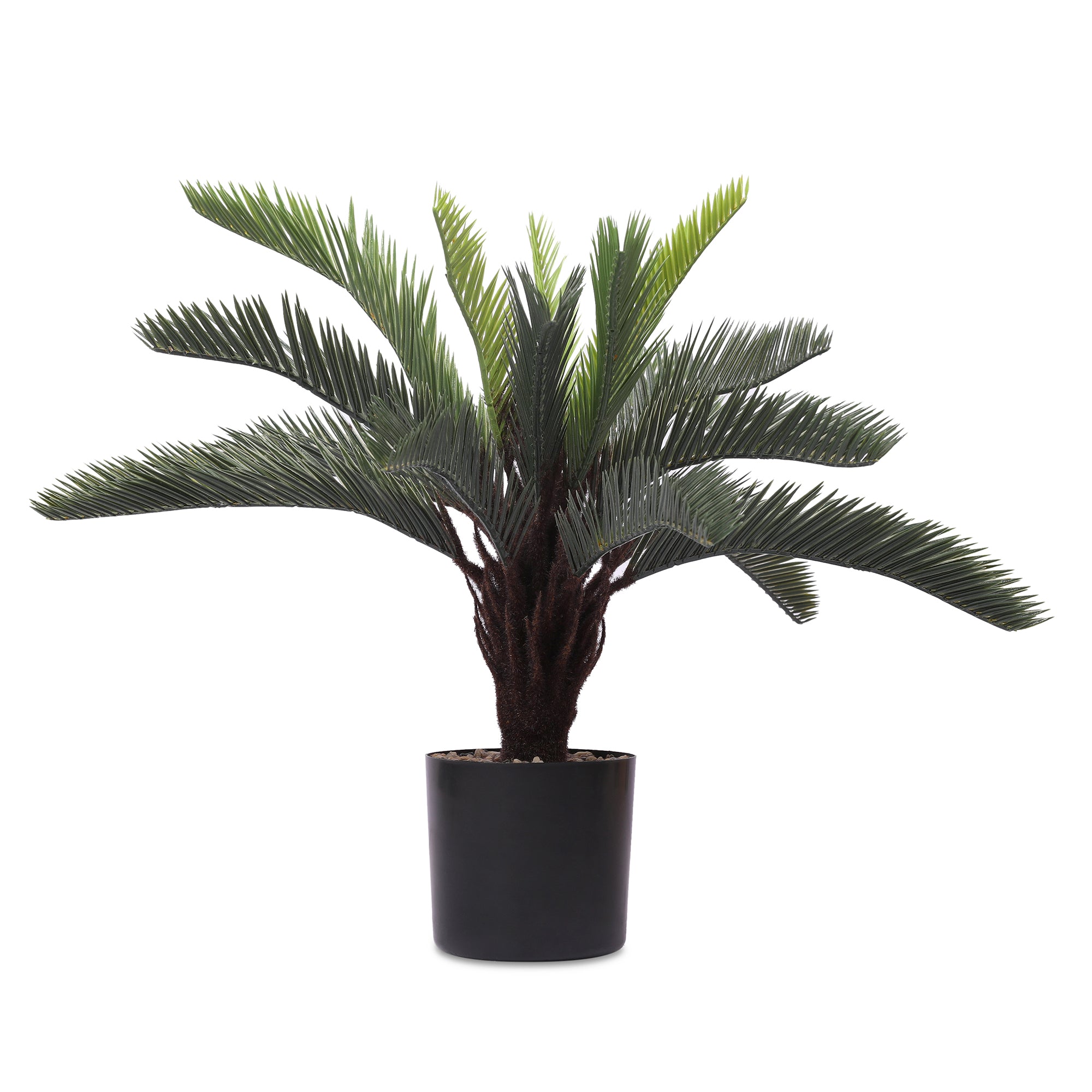 Blume Artificial Potted Plant Cycas Palm 55cm in Green Colour By Living Essence