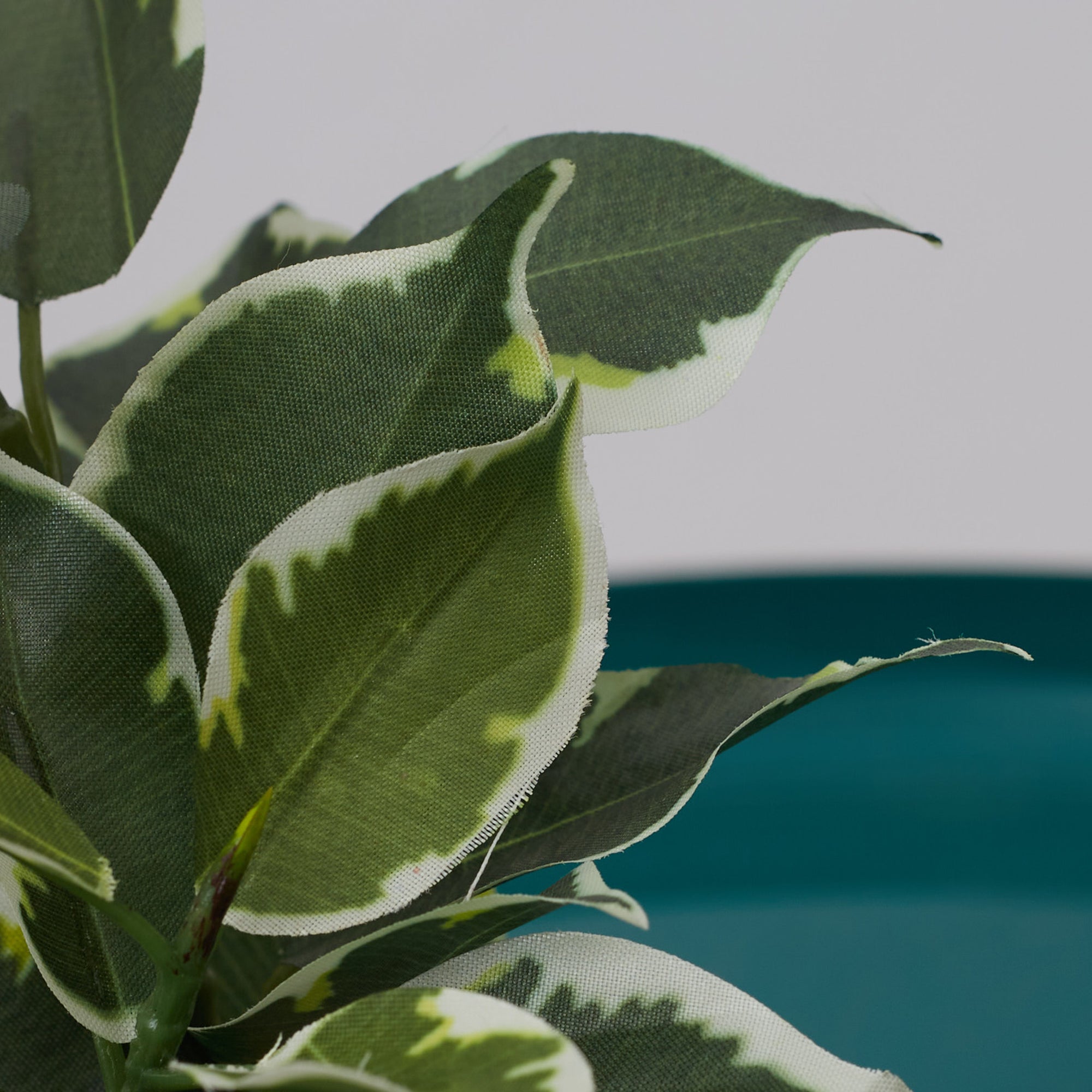 Ilana Faux Quercus Ceramic Potted Plant 23 Cm in Green Colour