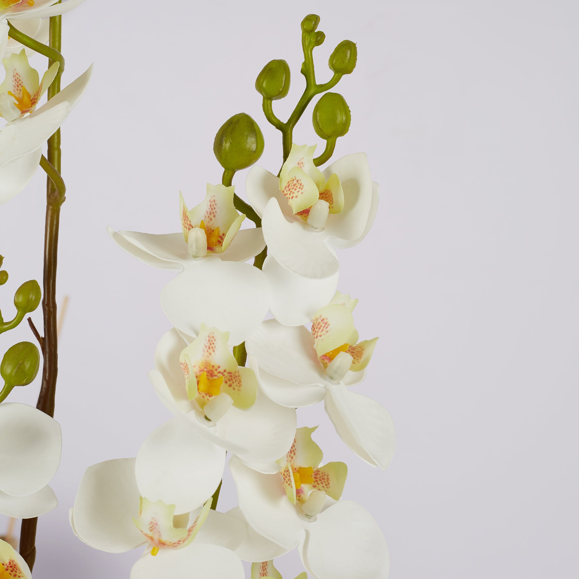 Ilana Artificial Orchid Potted Plant 45Cm in White Colour