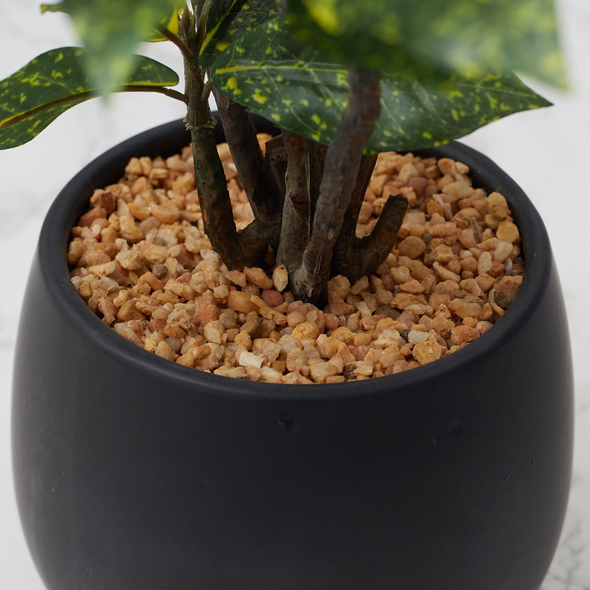 Ilana Faux Croton Ceramic Potted Plant 43 Cm in Green Colour
