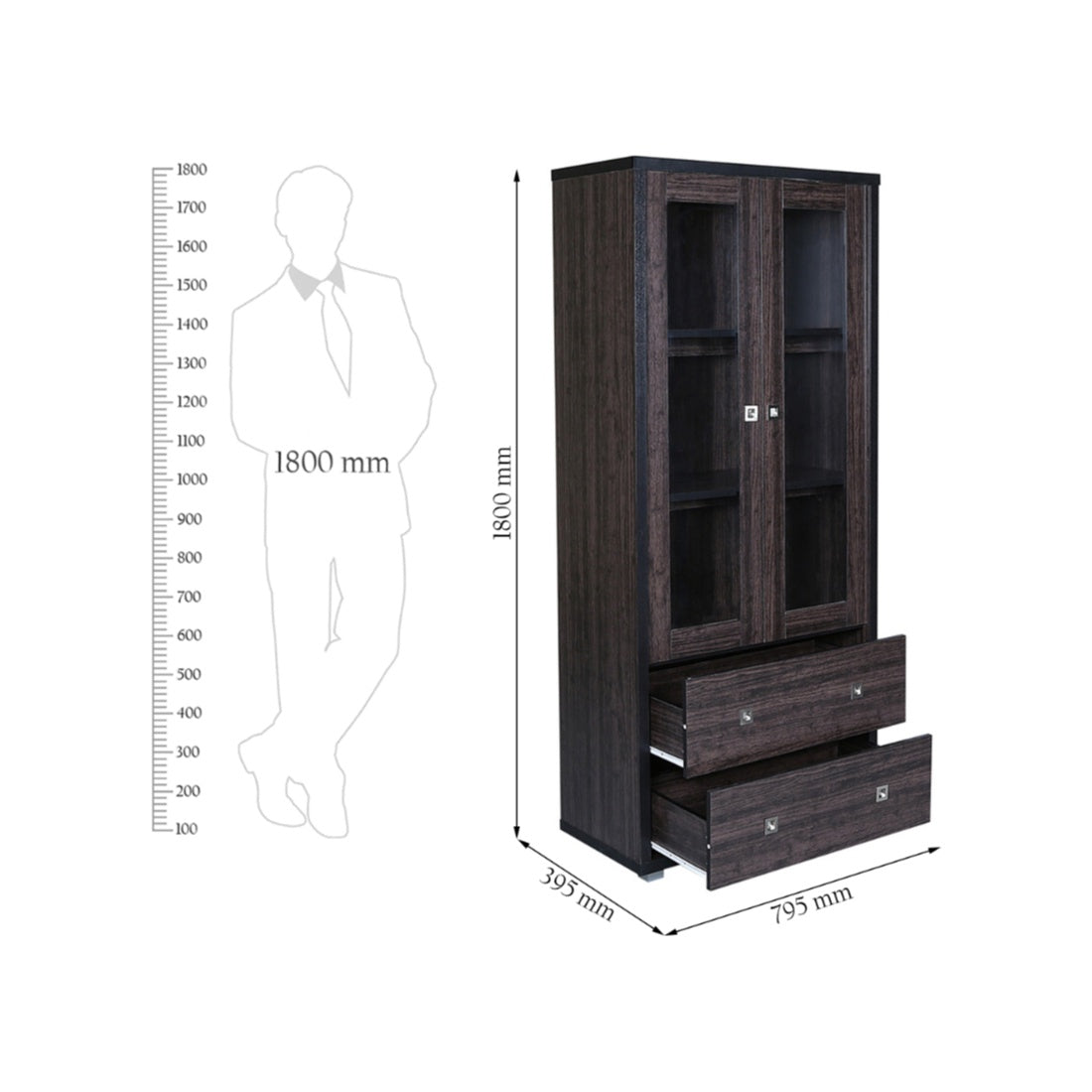 Evergreen Engineered Wood Book Shelf in Wenge Colour