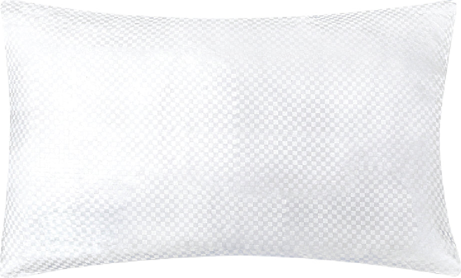 Allergy Guard Anti-Bacterial Pillow 46X68 Cm in White Colour