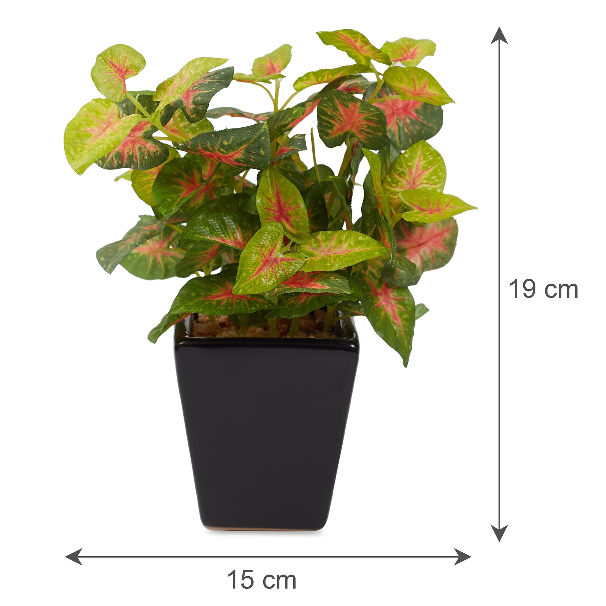 Ilana  Faux Caladium Ceramic Potted Plant 19 Cm in Green Colour