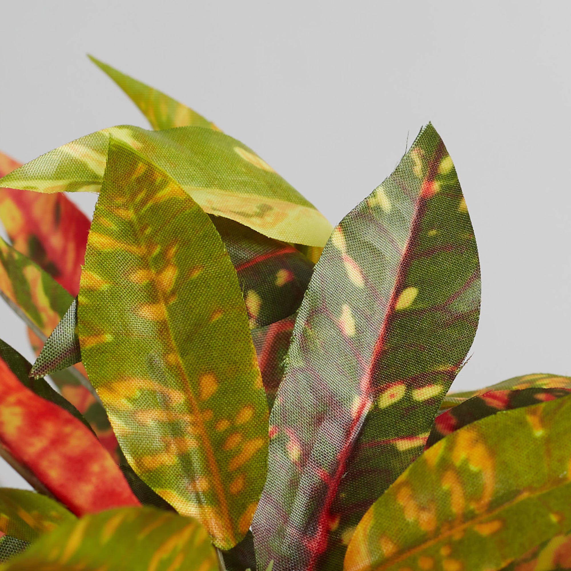 Ilana Faux Codiaeum Ceramic Potted Plant 29 Cm in Green Colour