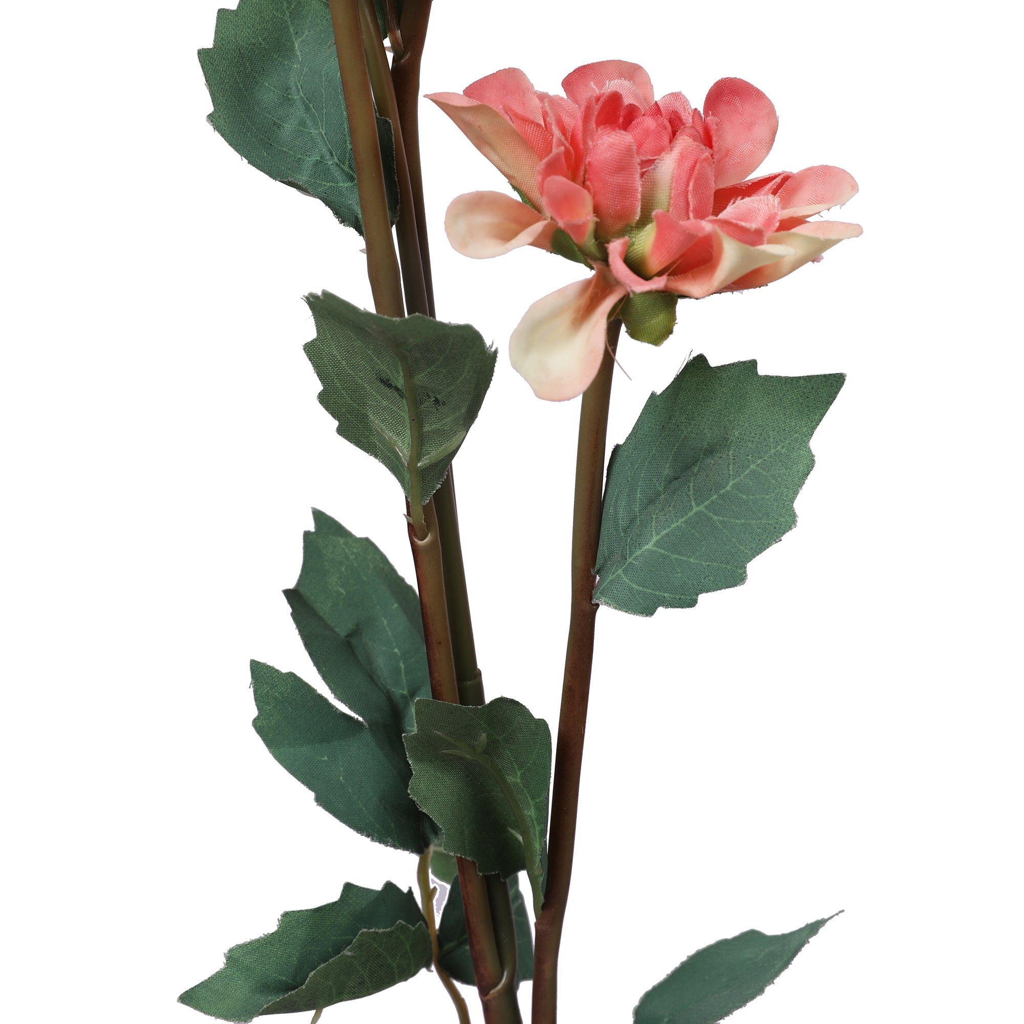 Blume Artificial Flower Dahlia Stem 78cm in Peach Colour By Living Essence