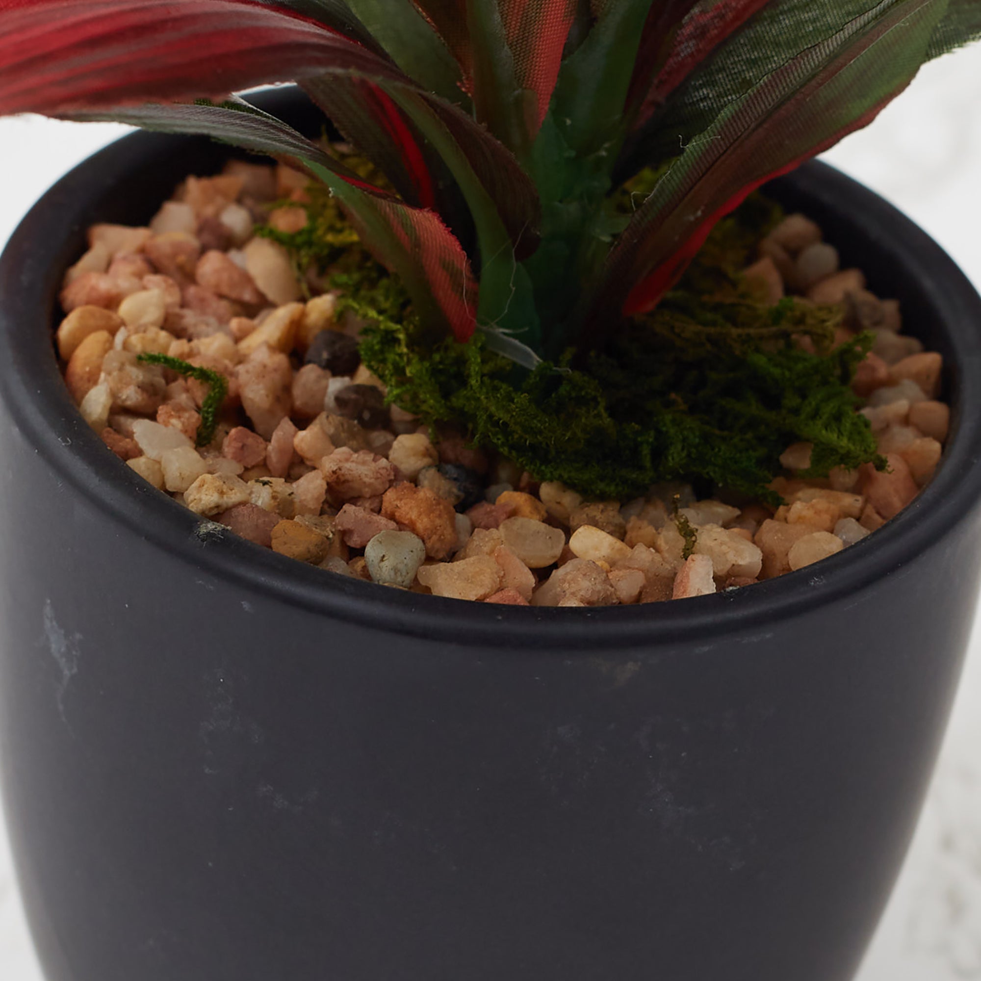 Ilana Faux Dracaena Ceramic Potted Plant 21 Cm in Green Colour