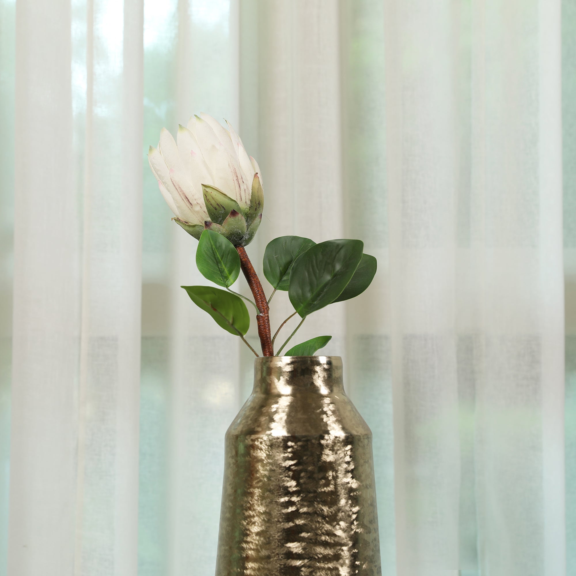 Blume Artificial Flower Protea Stem 66cm in White Colour By Living Essence