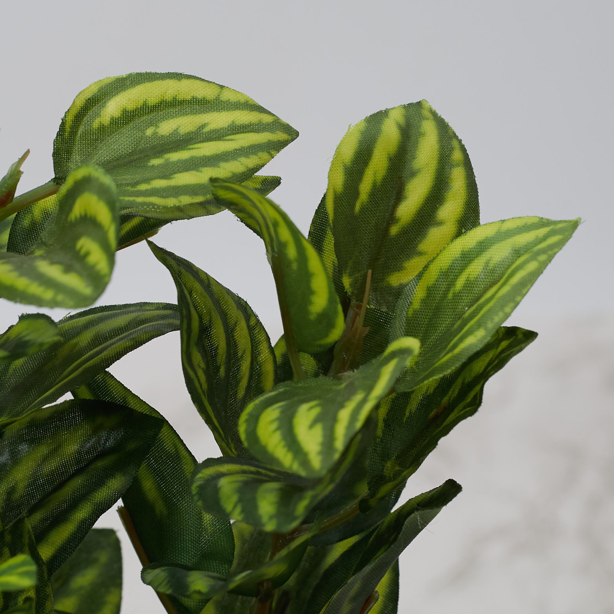 Ilana Faux Peperomia Ceramic Potted Plant 22 Cm in Green Colour