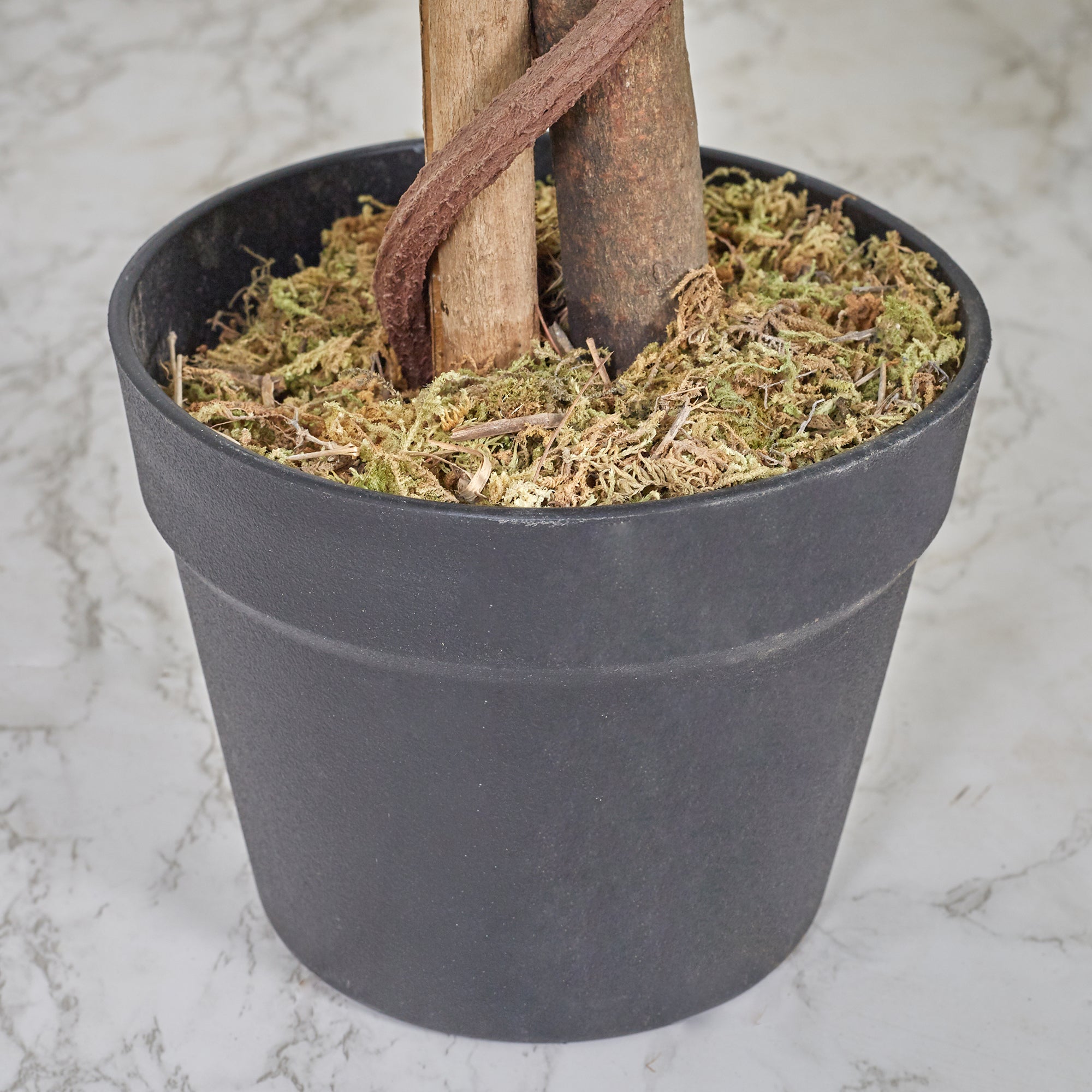 Ilana Artificial Wisteria Potted Tree 120Cm in White Colour