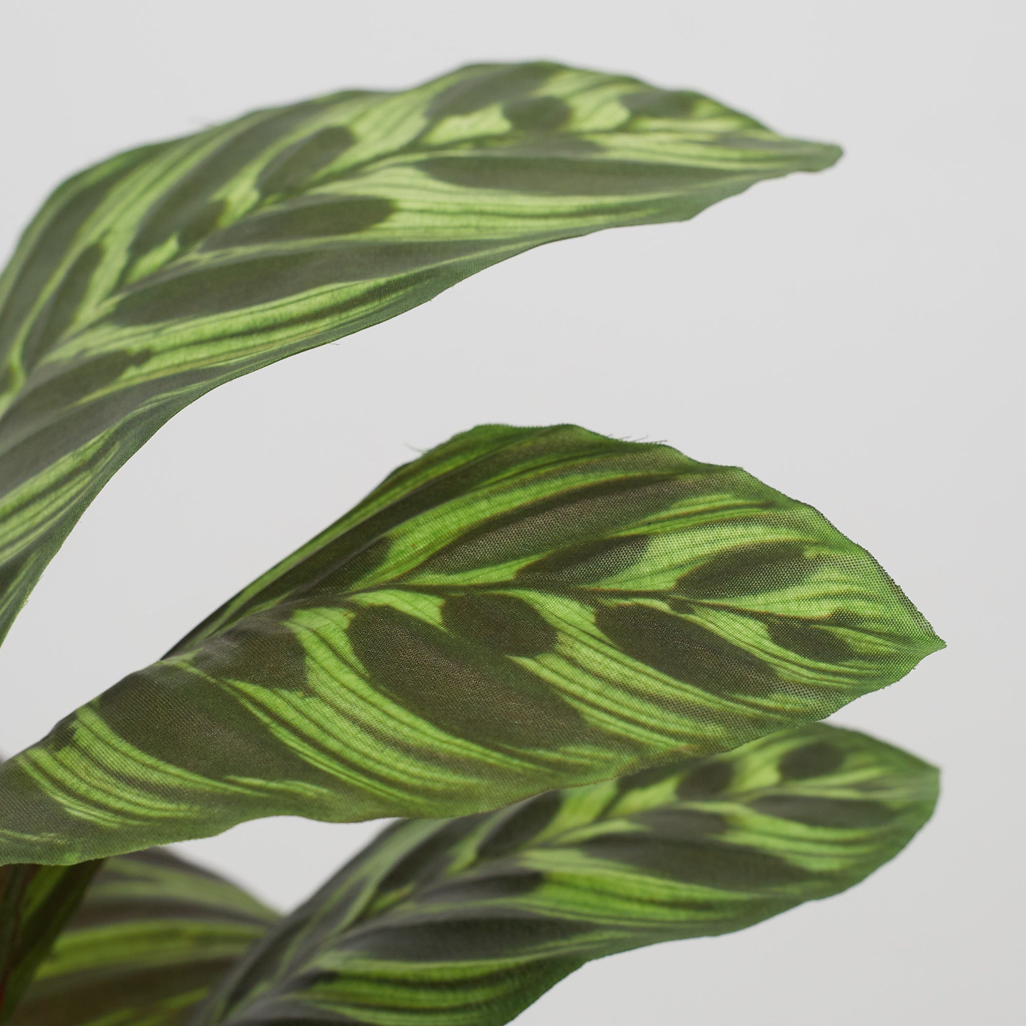 Ilana Faux Calathea Ceramic Potted Plant 42 Cm in Green Colour