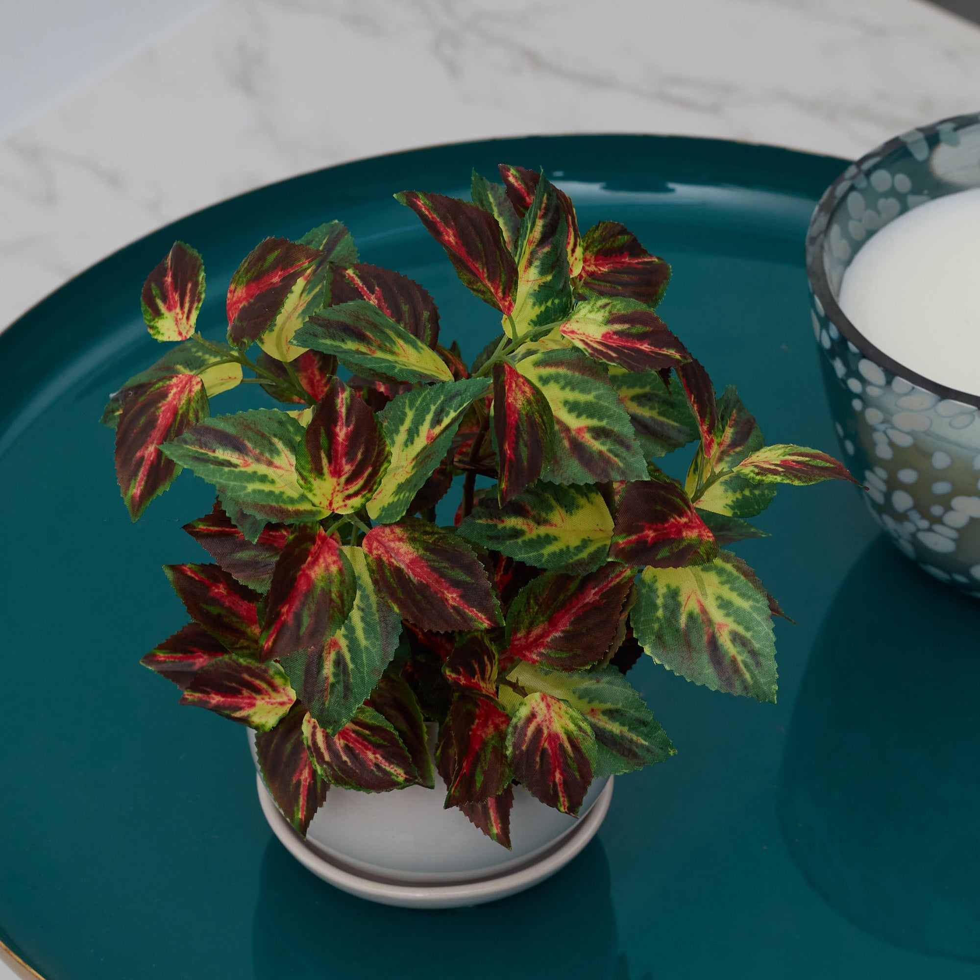 Ilana Faux Coleus Ceramic Potted Plant 24 Cm in Green Colour