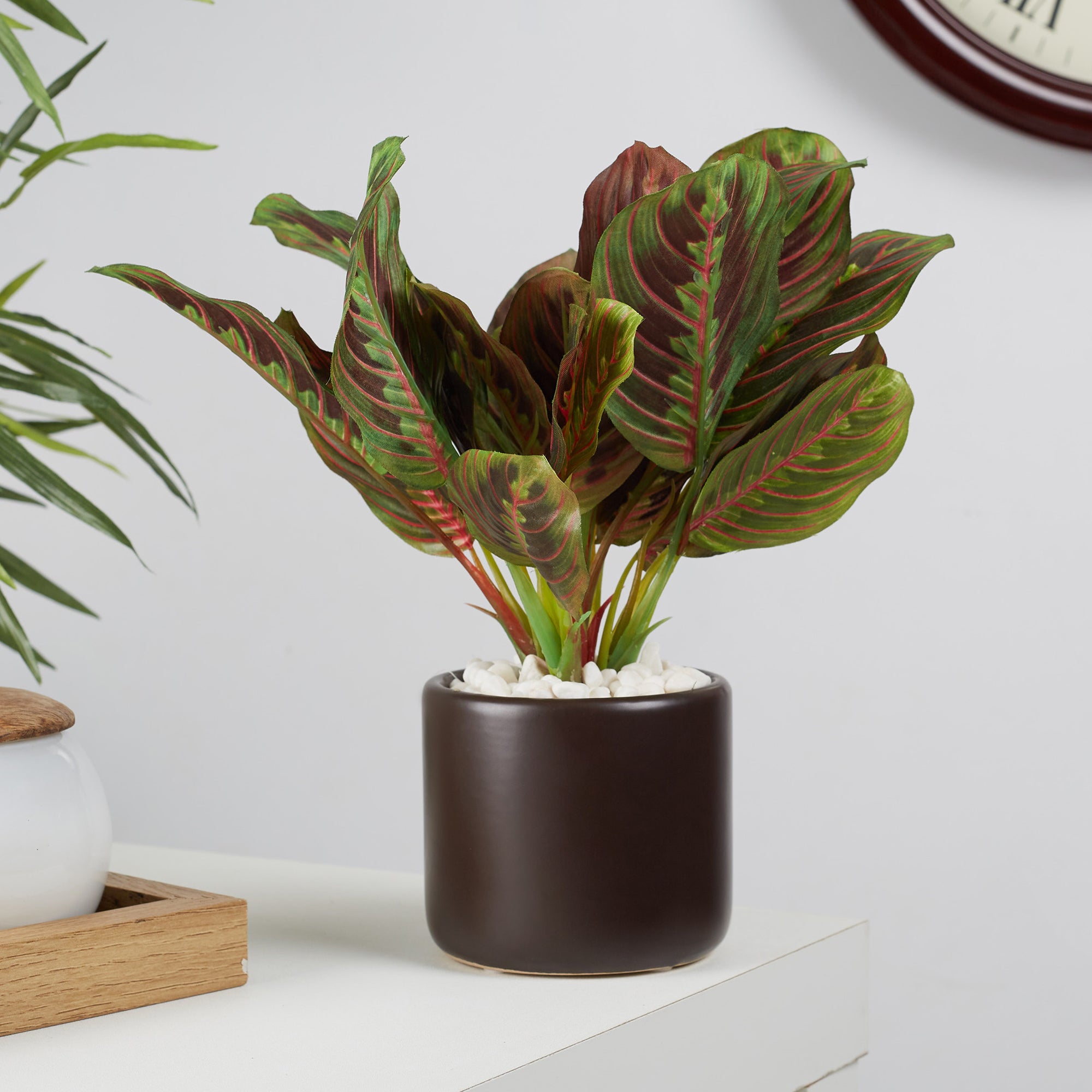 Ilana Faux Maranta Ceramic Potted Plant 25 Cm in Green Colour