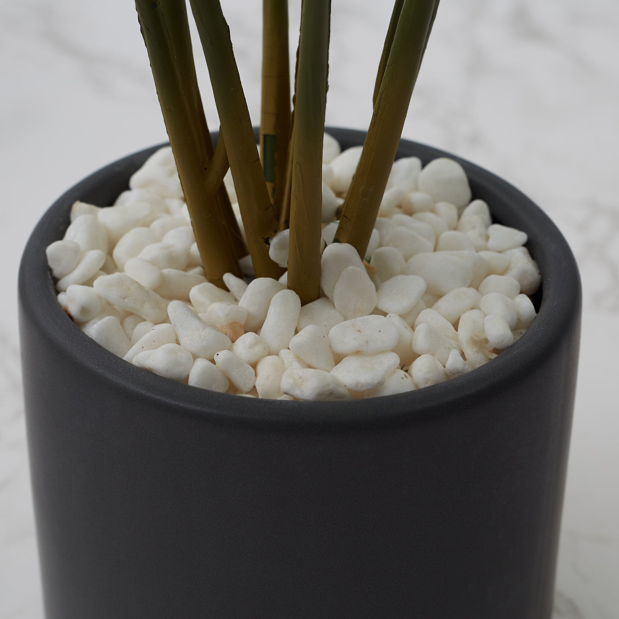 Ilana Faux Dieffenbachia Ceramic Potted Plant 42 Cm in Green Colour