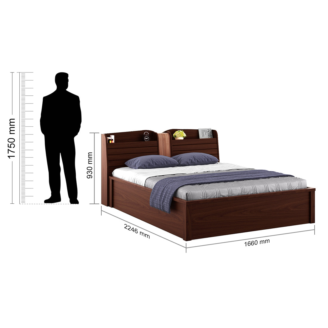 Magnum Engineered Wood Queen Bed with Box Storage in Urban Walnut Colour