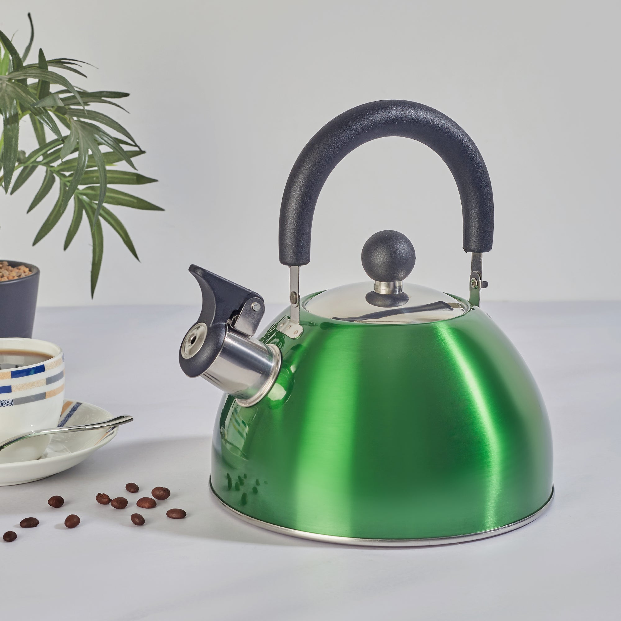 Brew Steel Whistling Kettle 2.5 Ltr in Green Colour