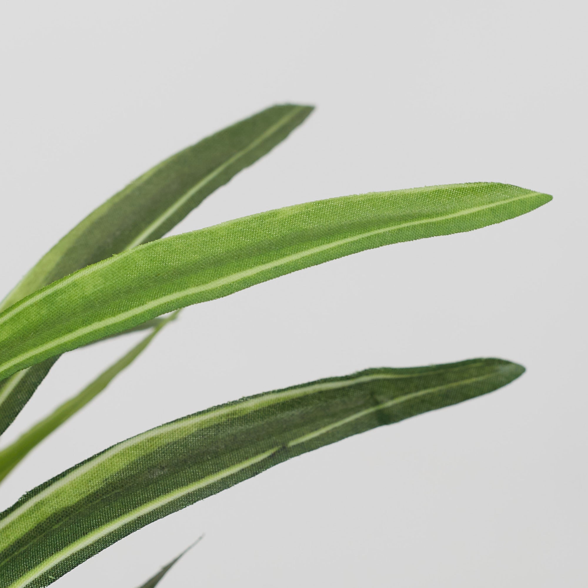 Ilana Faux Mini Dracaena 2 Ceramic Potted Plant 24 Cm in Green Colour