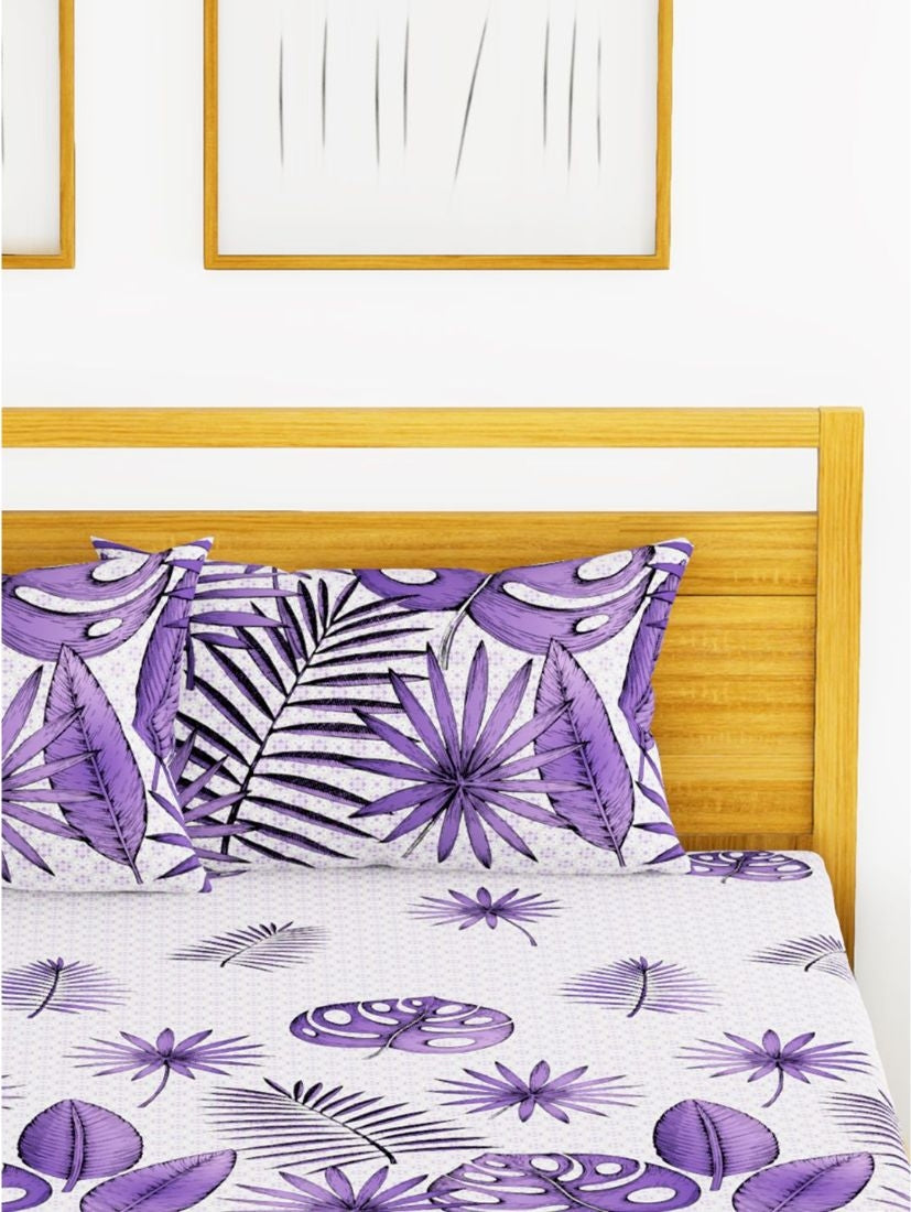 Callista Cotton King Bed Sheet 274X274 Cm in Purple Colour