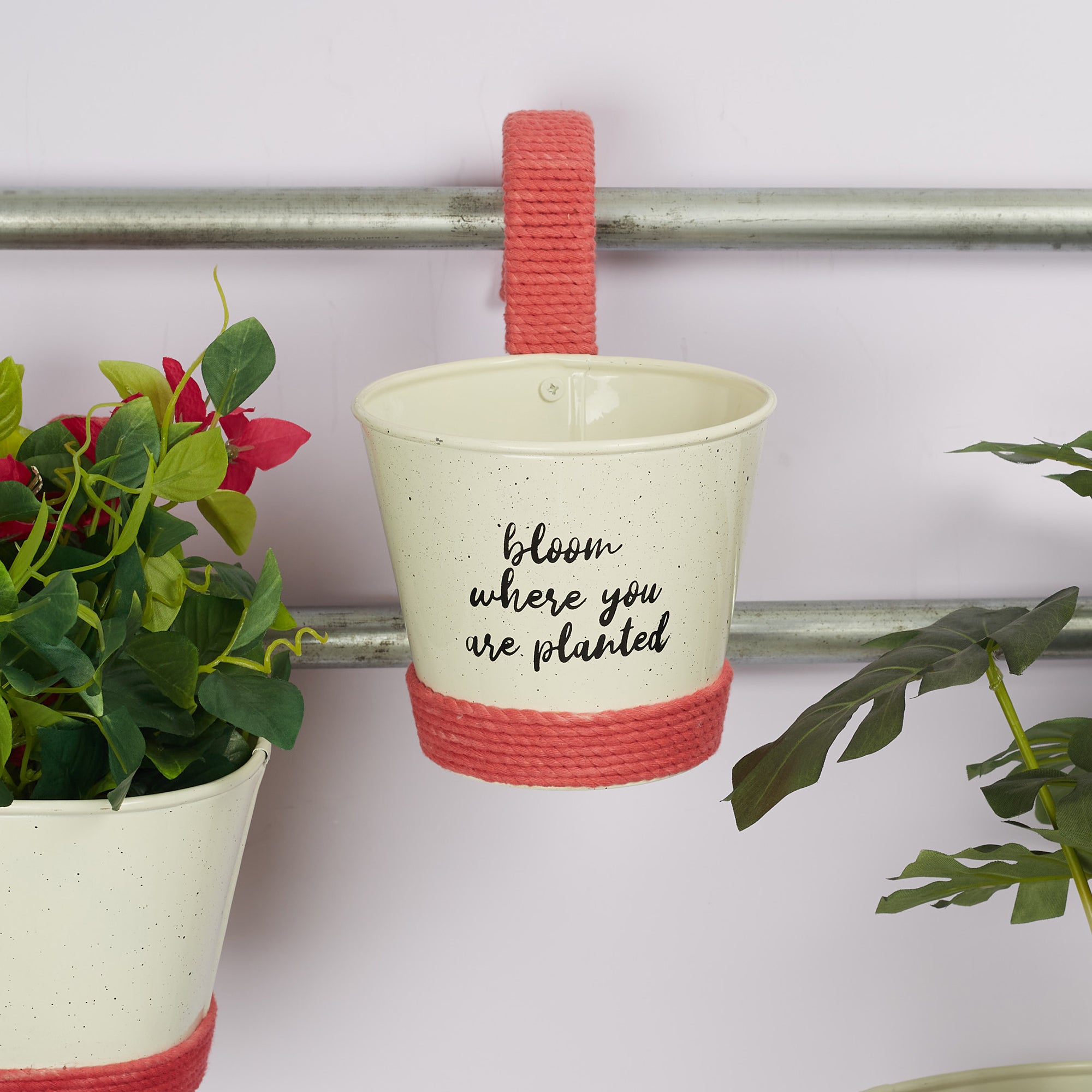 Pep Pop Metal Funky Quote Railing Planter 19Cm in Off White & Fuchsia Colour
