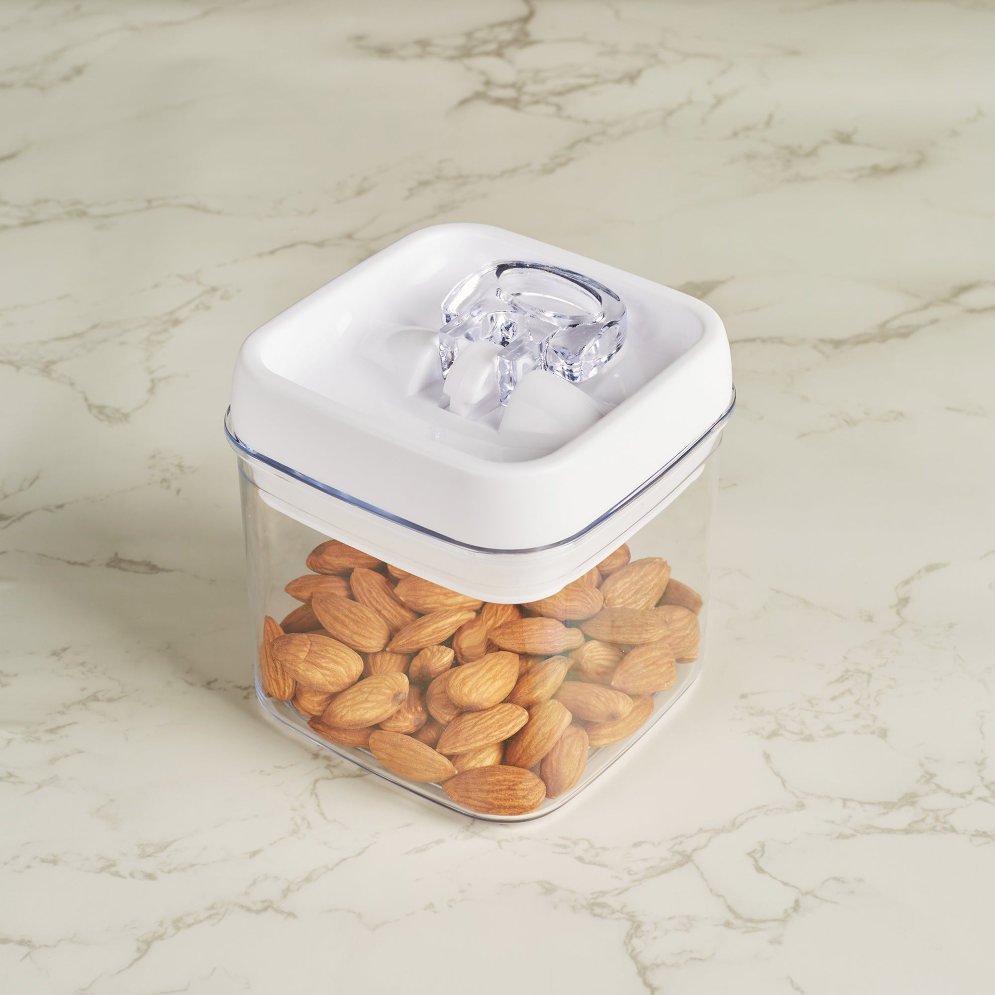 Robusto BPA Free Easy Lock Square Container 500ml in Transparent & White Colour