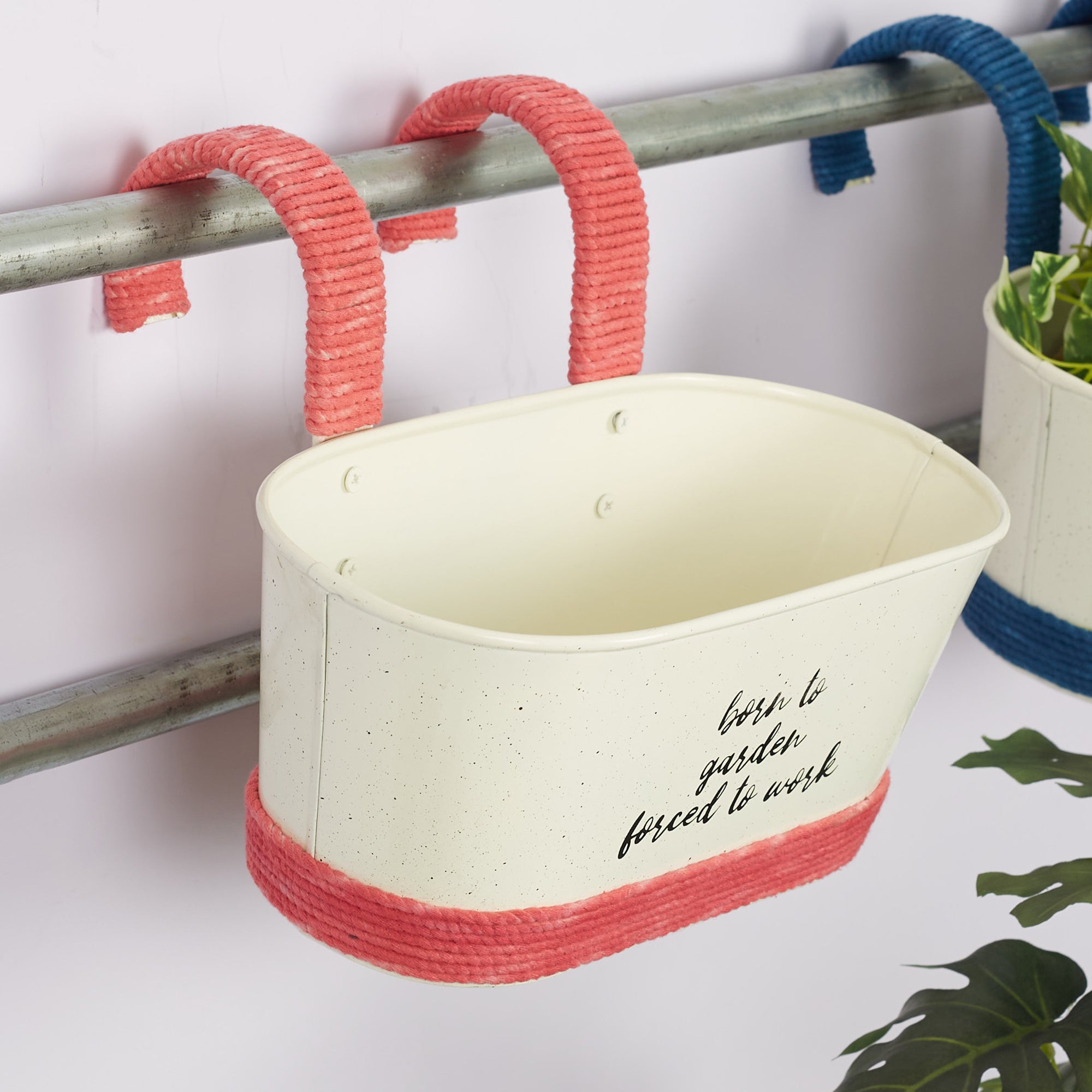 Pep Pop Metal Funky Quote Railing Planter 28X19Cm in Off White & Fuchsia Colour