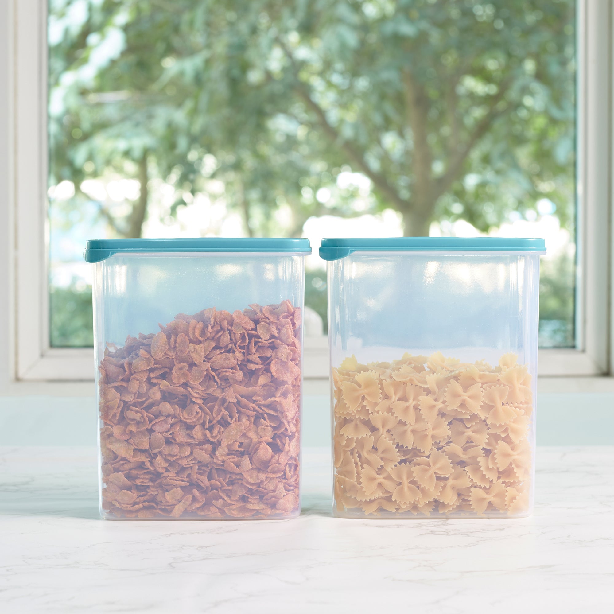 Modular Mate Plastic Rectangular Container 2600ml Set of 2 in Teal & Transparent Colour