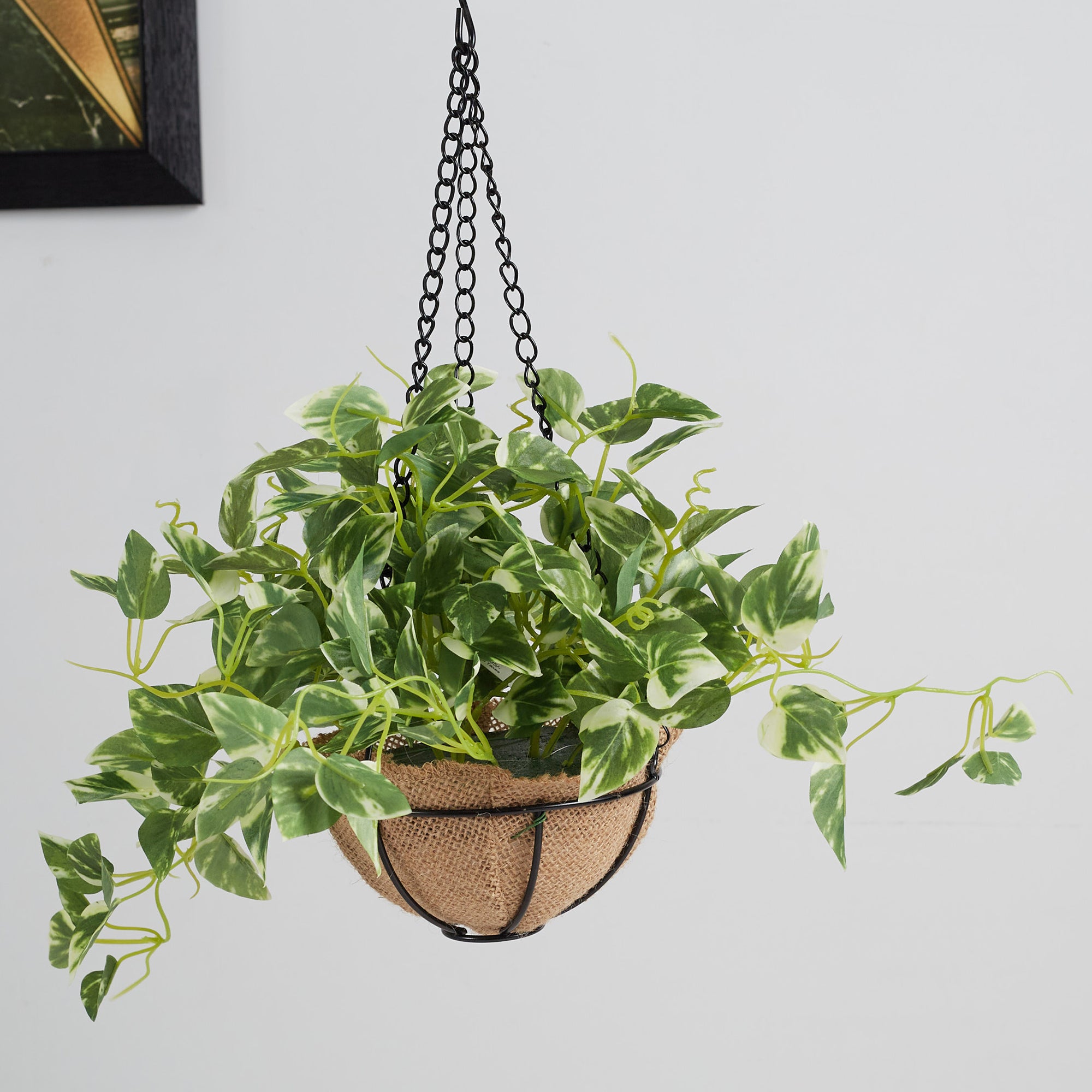 Ilana Faux Hanging Pathos With Pot 47 Cm in Green Colour