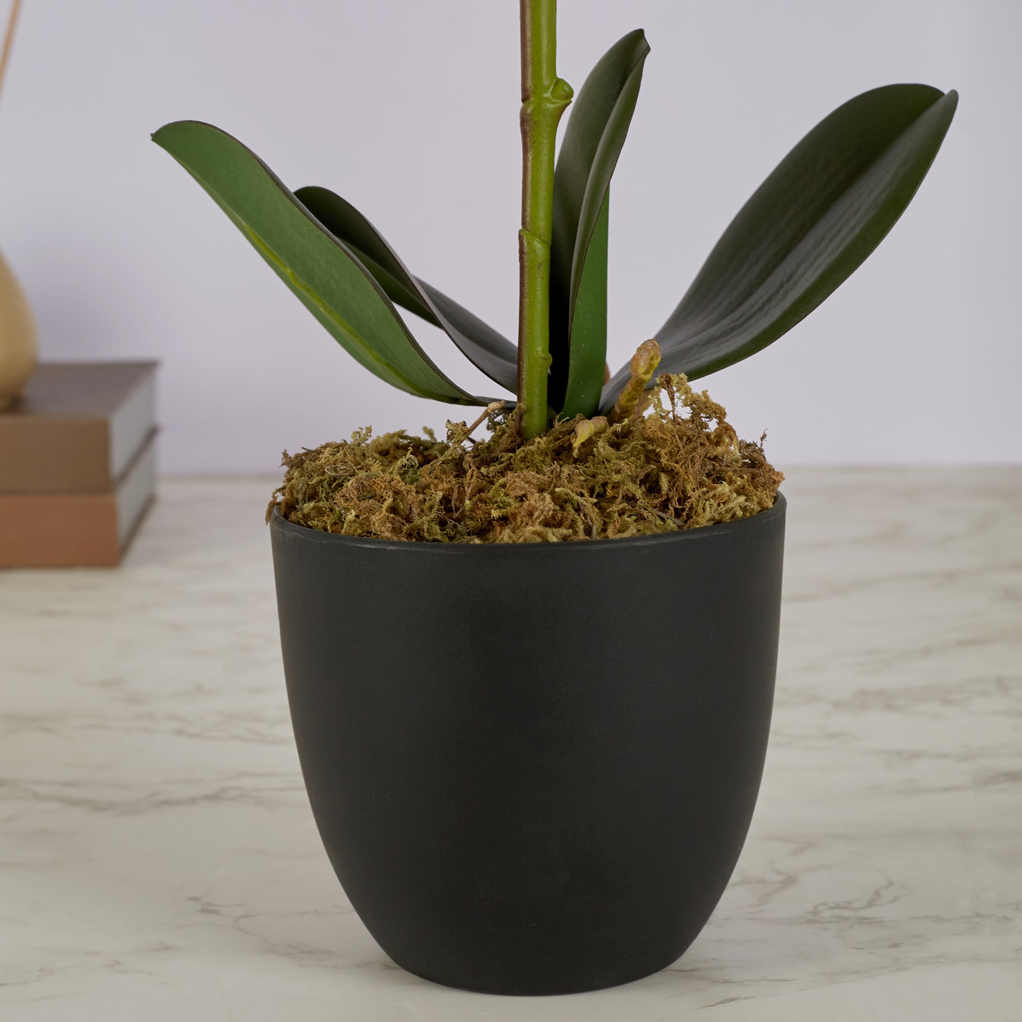 Ilana Artificial Orchid Potted Plant 40Cm in White Colour