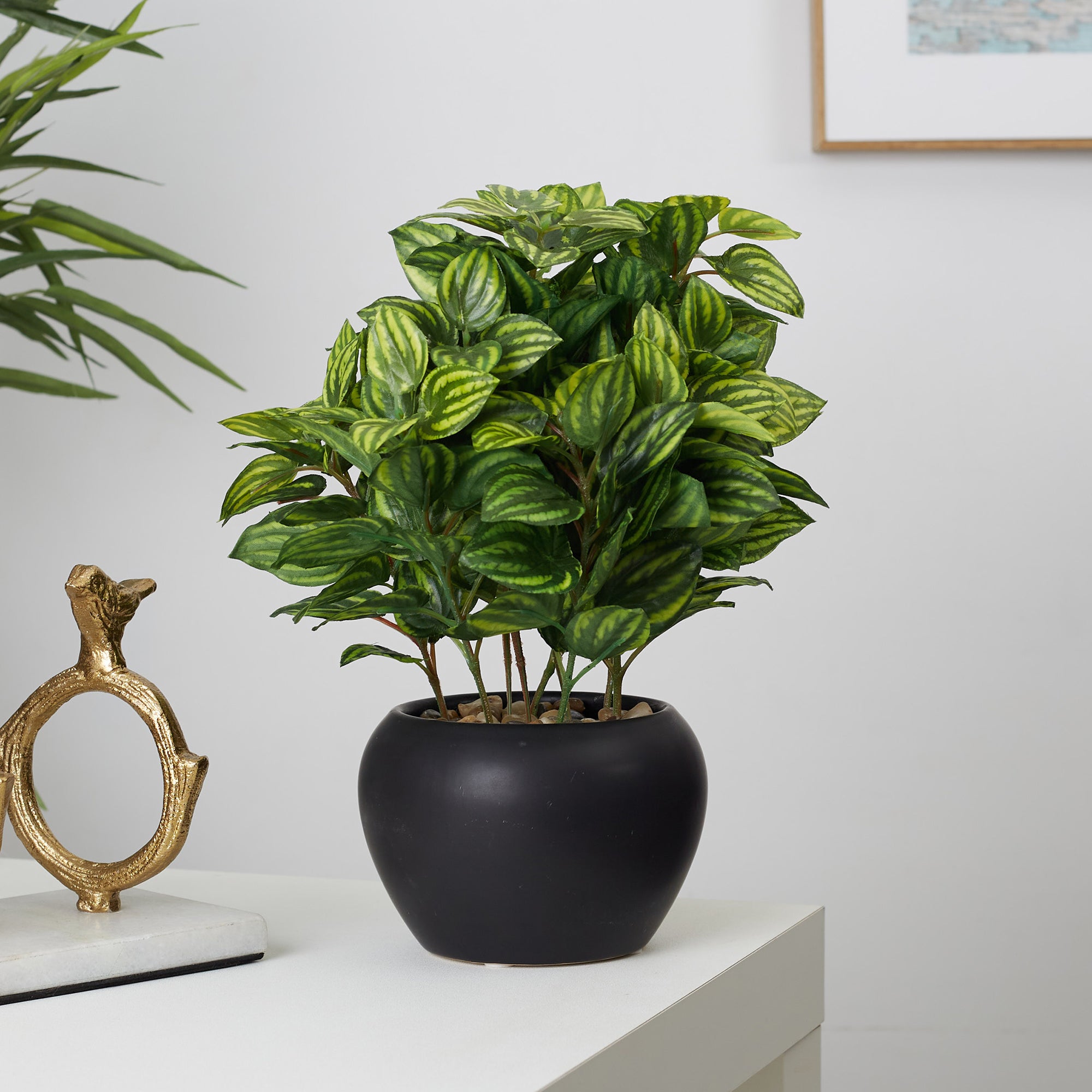 Ilana  Faux Peperomia Ceramic Potted Plant 27 Cm in Green Colour