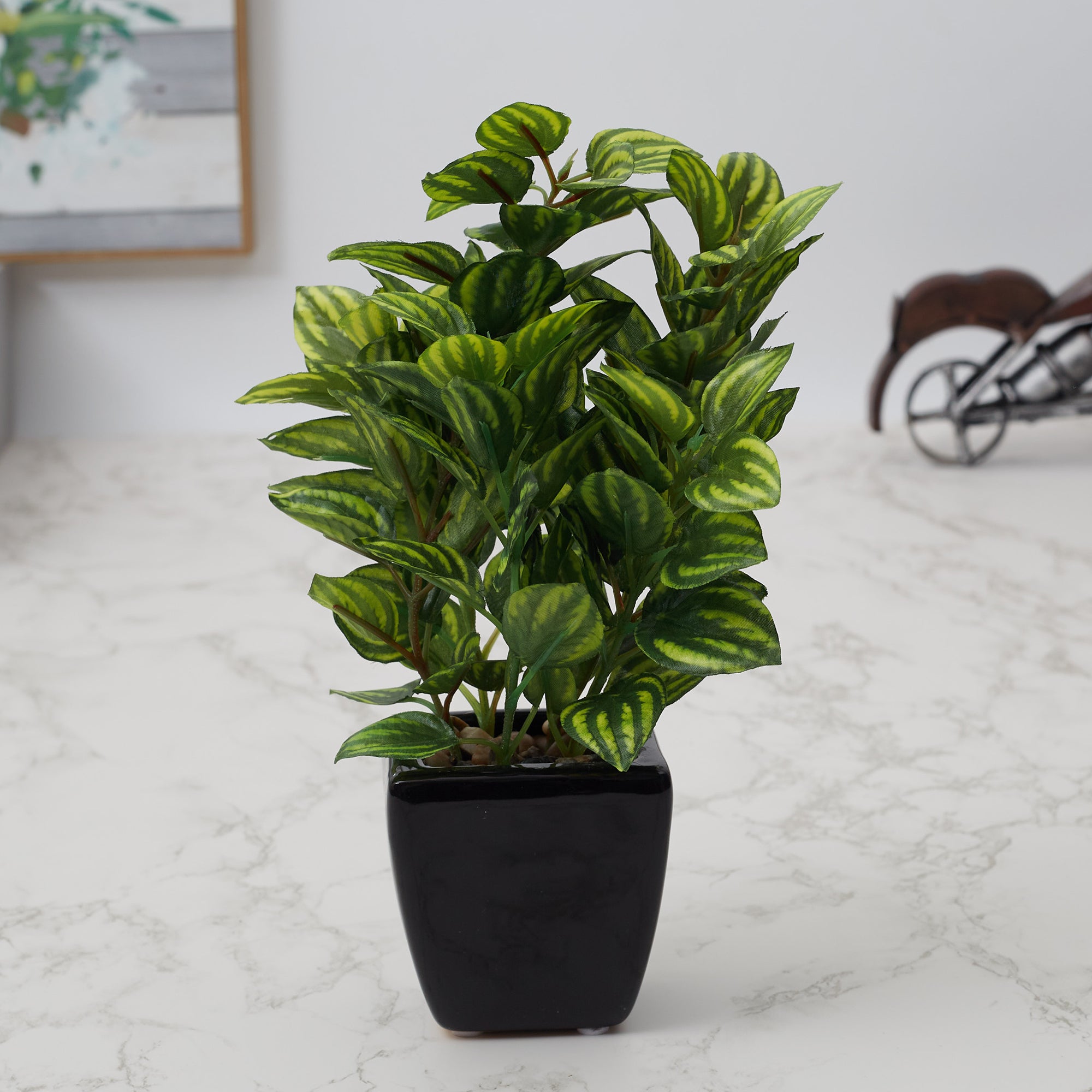 Ilana Faux Peperomia Ceramic Potted Plant 22 Cm in Green Colour