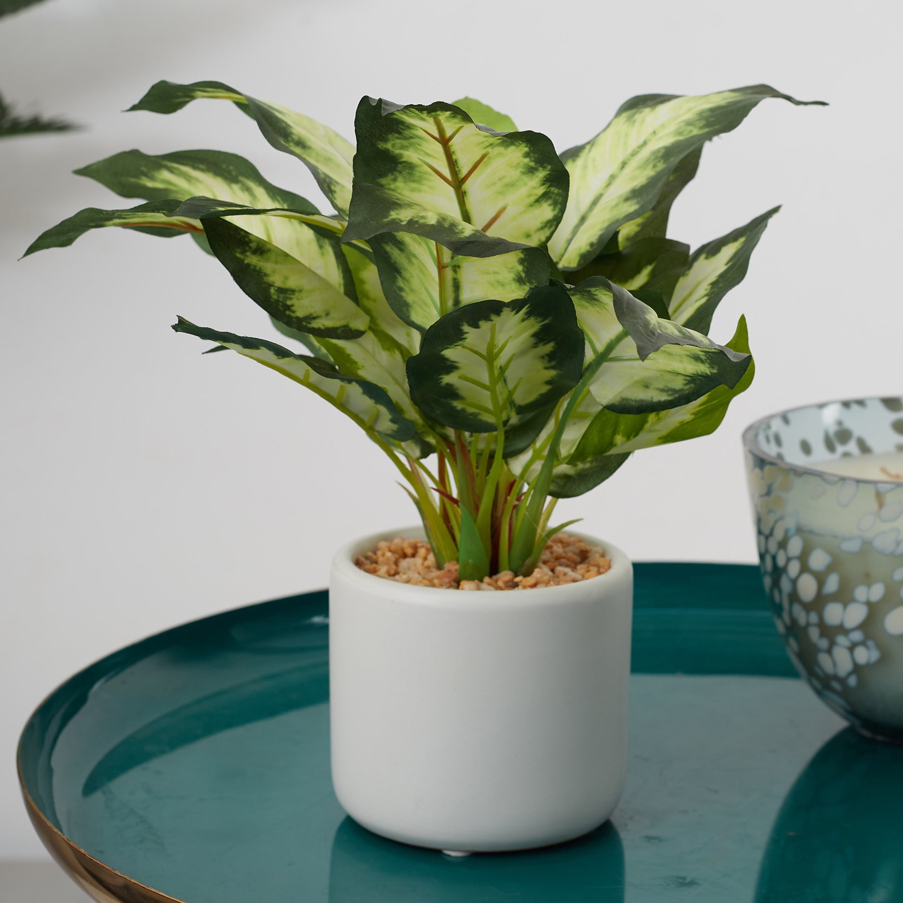 Ilana Faux Dieffnbchia 2 Ceramic Potted Plant 25 Cm in Green Colour