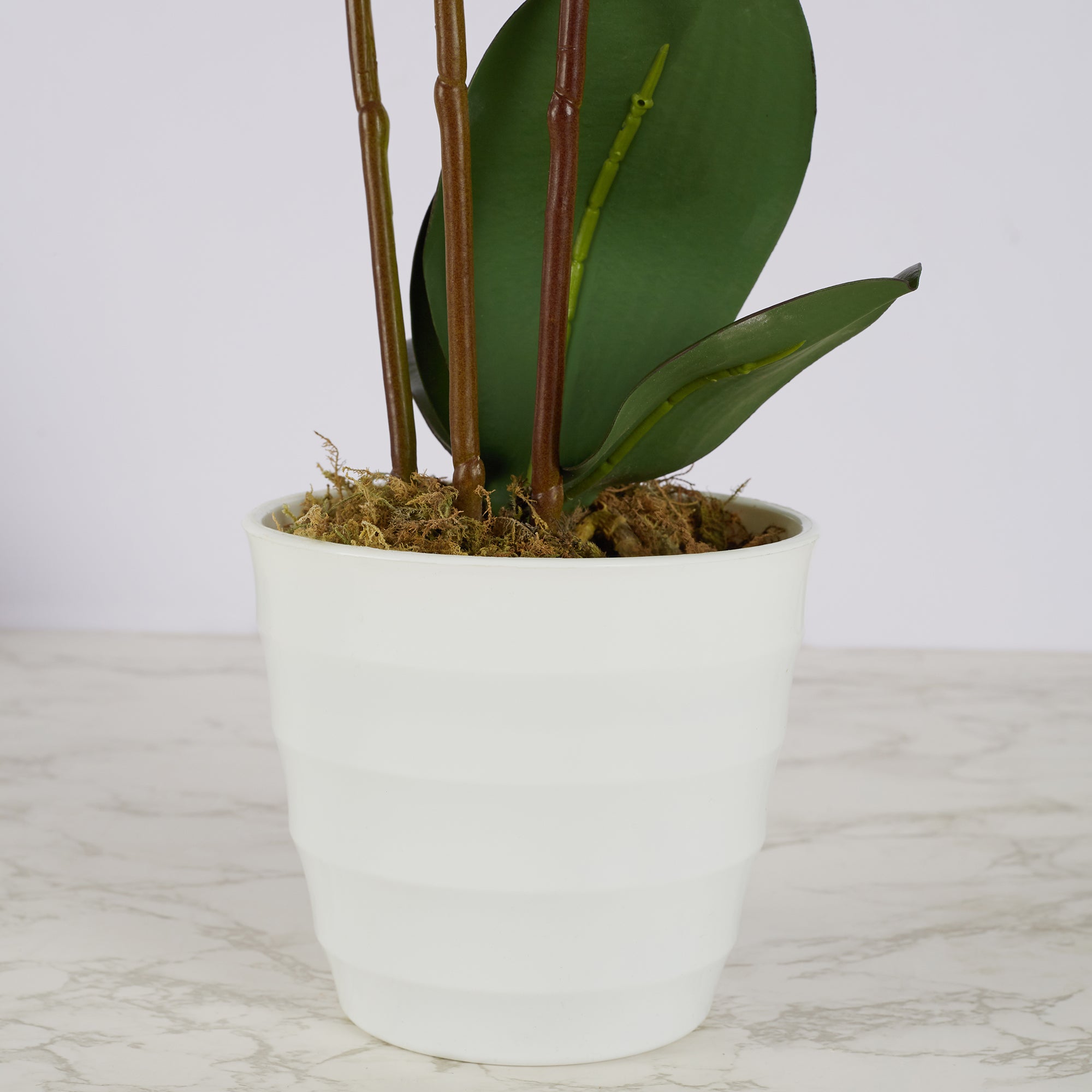 Ilana Artificial Orchid Potted Plant 55Cm in White Colour