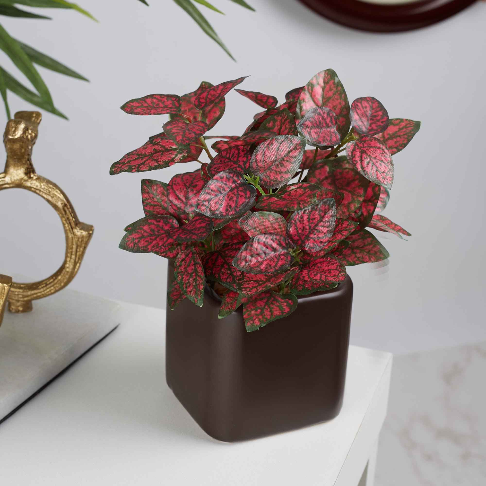 Ilana Faux Hypoestes Ceramic Potted Plant 20 Cm in Red Colour