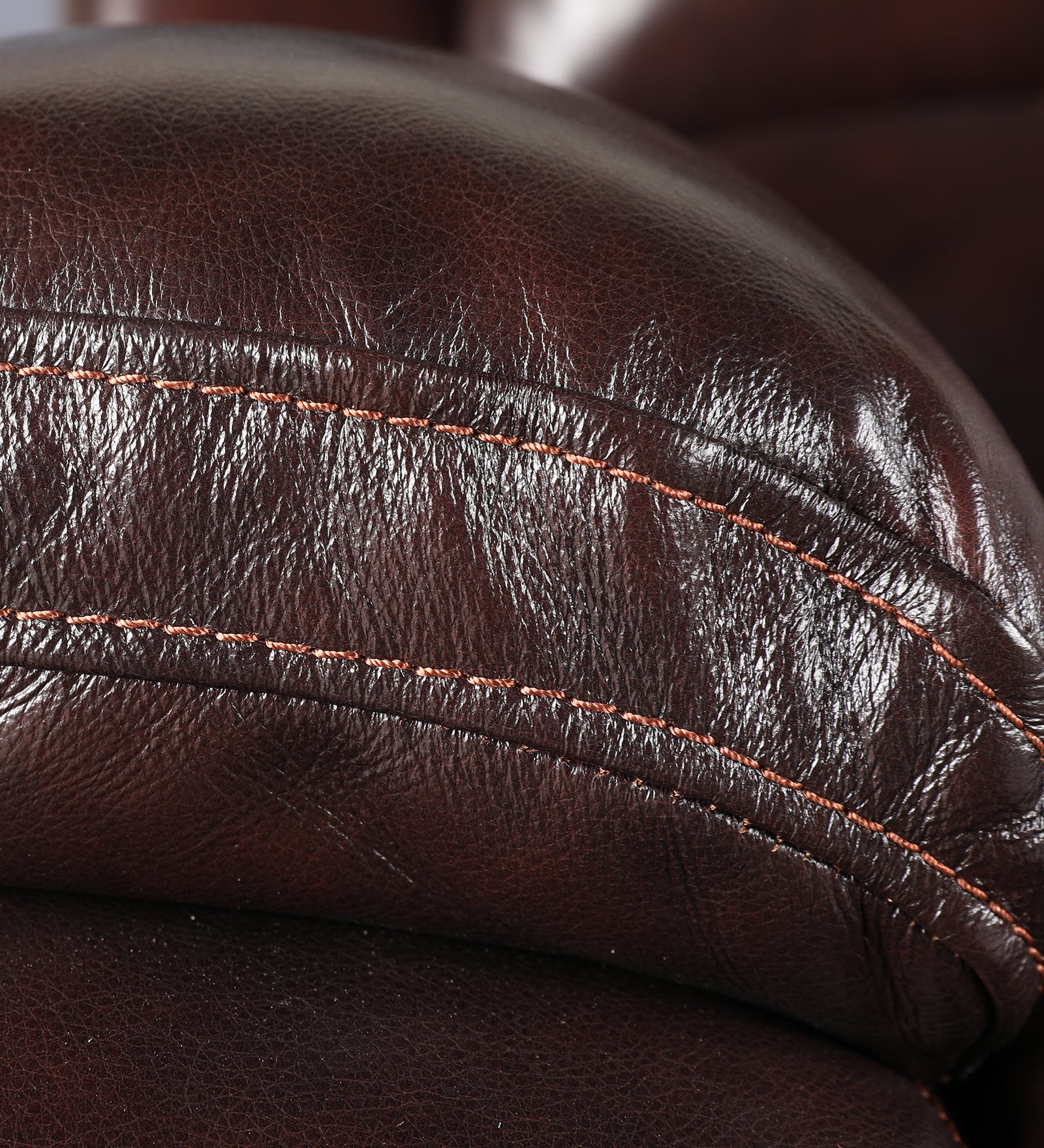 Rhine Half Leather Single Seater Electric Recliner in Brown Colour