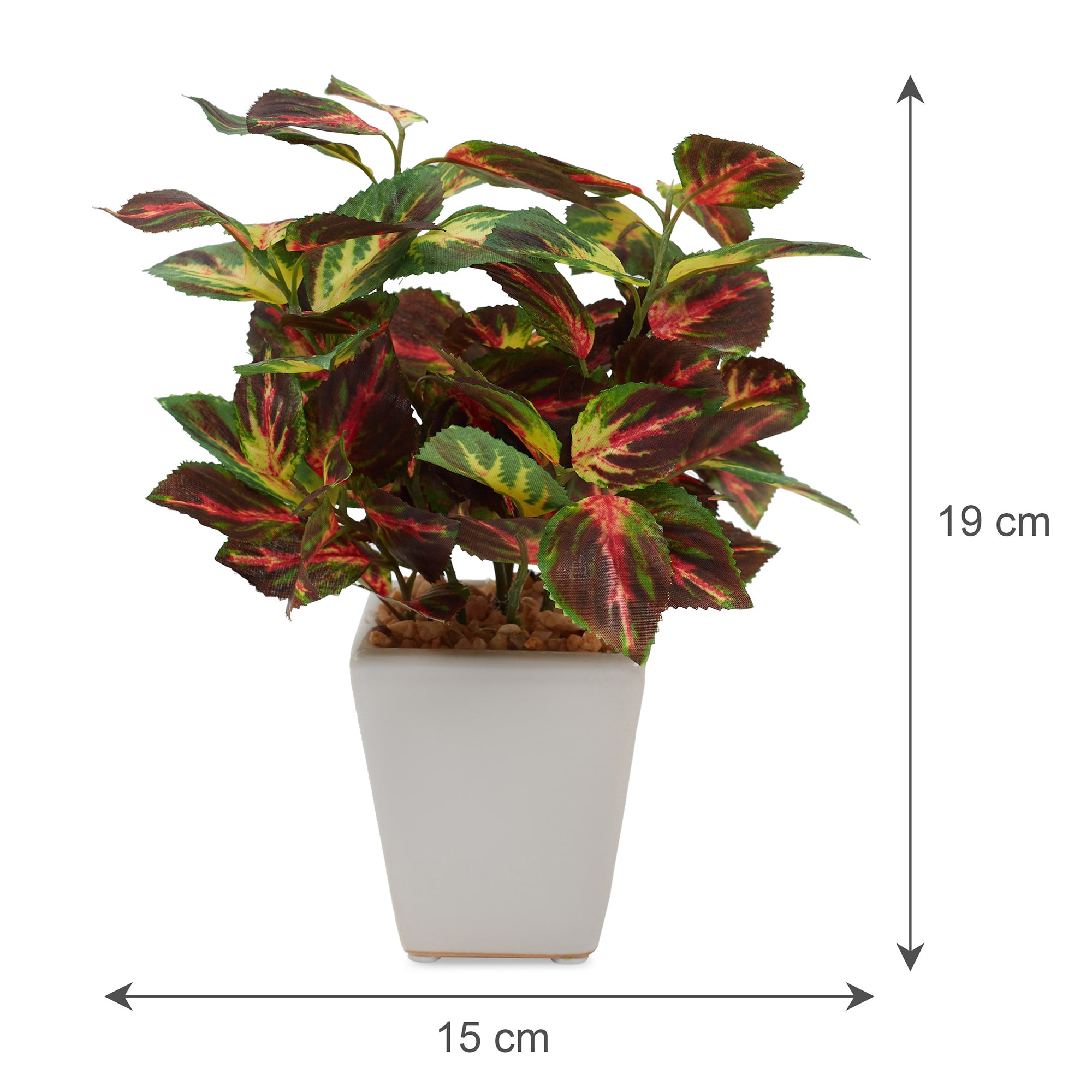 Ilana  Faux Coleus Ceramic Potted Plant 19 Cm in Green Colour