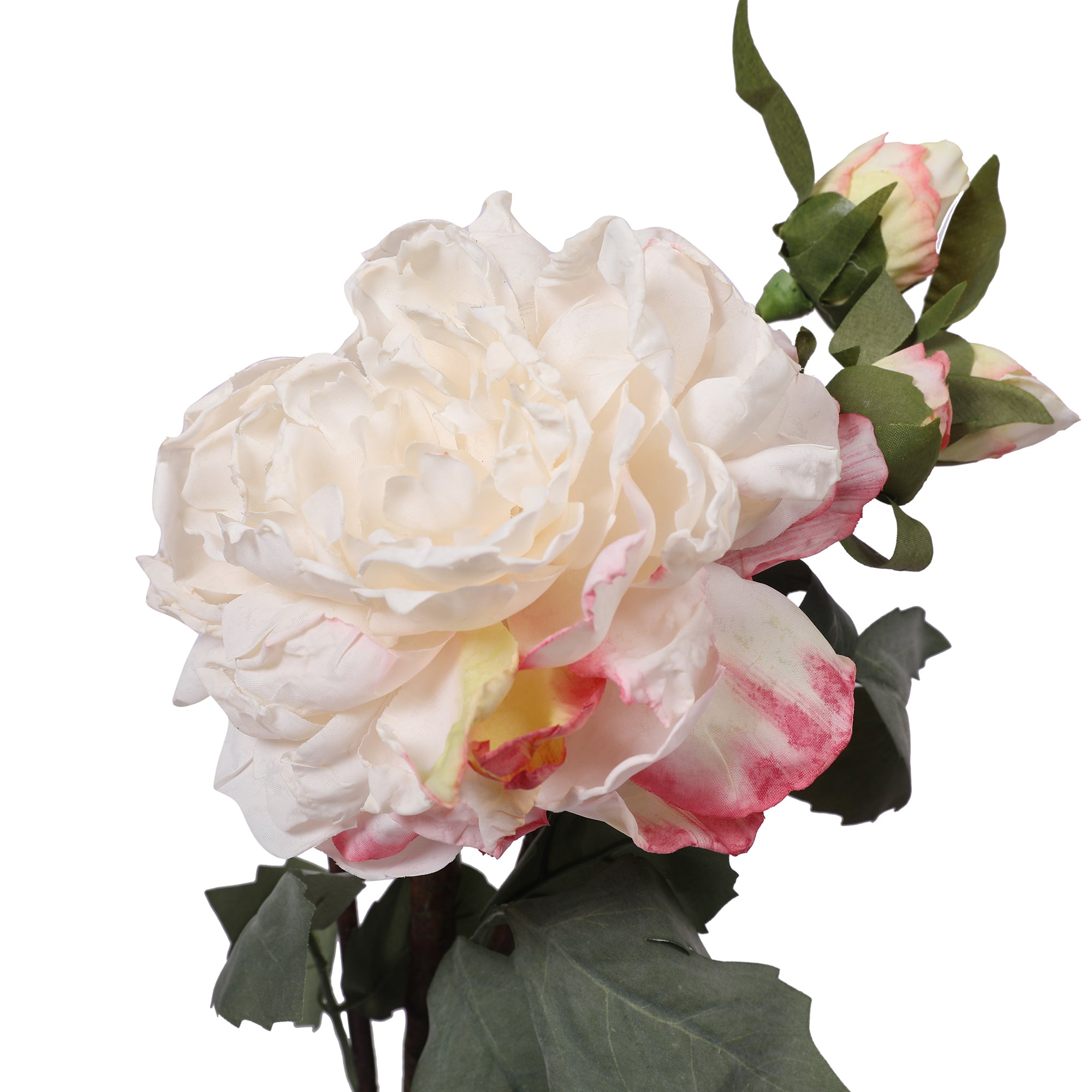 Blume Artificial Flower Rose Stem 58cm in White Colour By Living Essence
