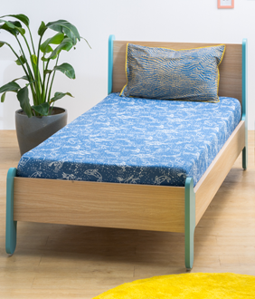 Stargazer Single Bed in Marine Teal Colour