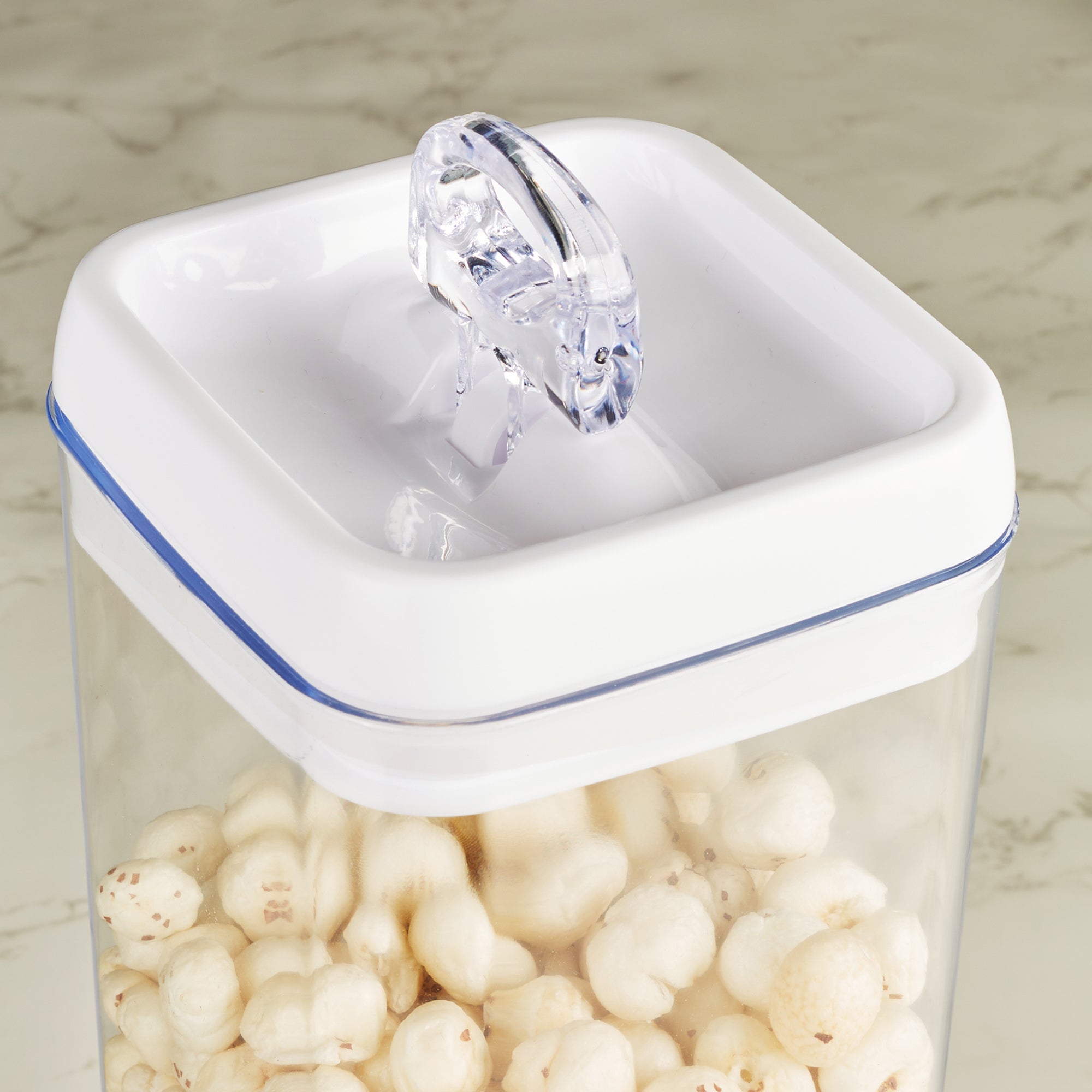 Robusto BPA Free Easy Lock Square Container 3100ml in Transparent & White Colour