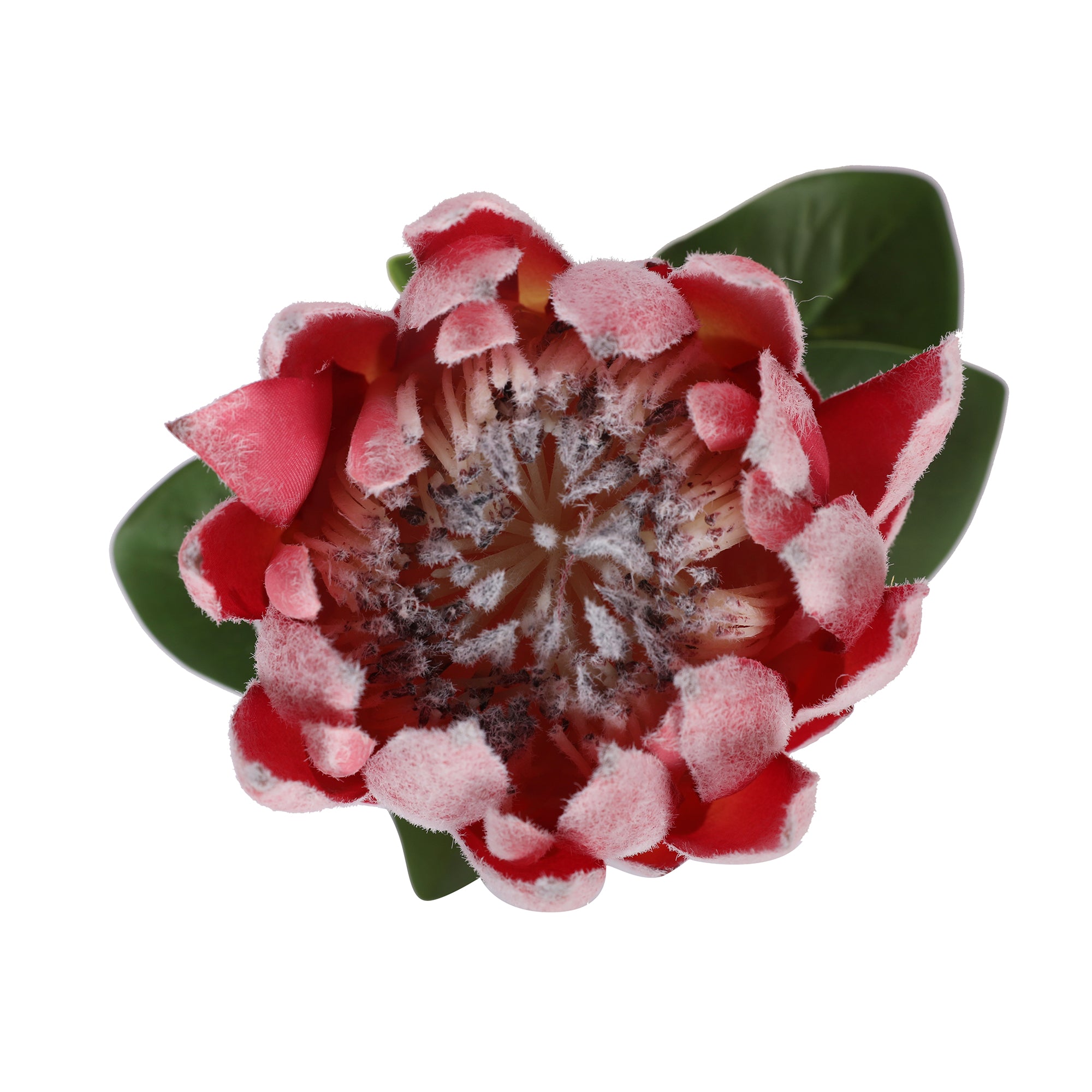 Blume Artificial Flower Protea Stem 66cm in Pink Colour By Living Essence