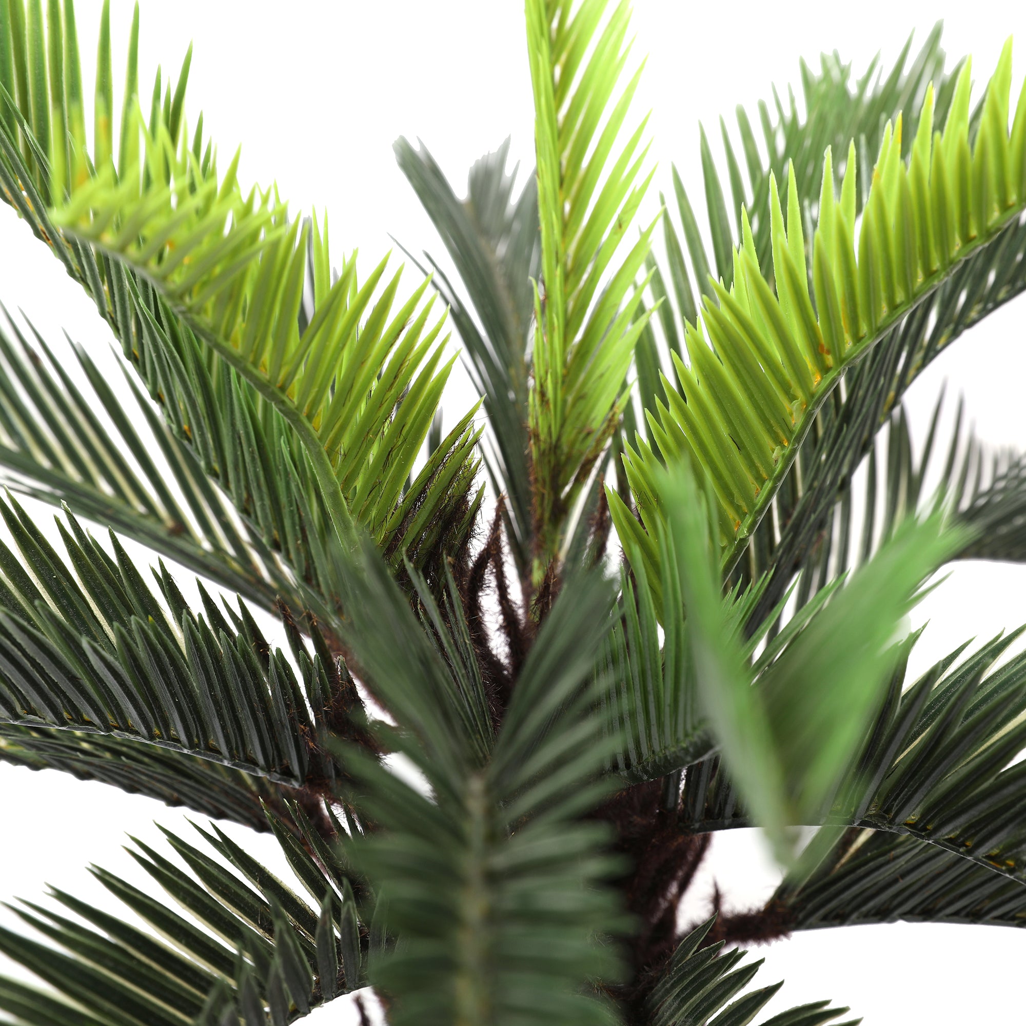 Blume Artificial Potted Plant Cycas Palm 55cm in Green Colour By Living Essence