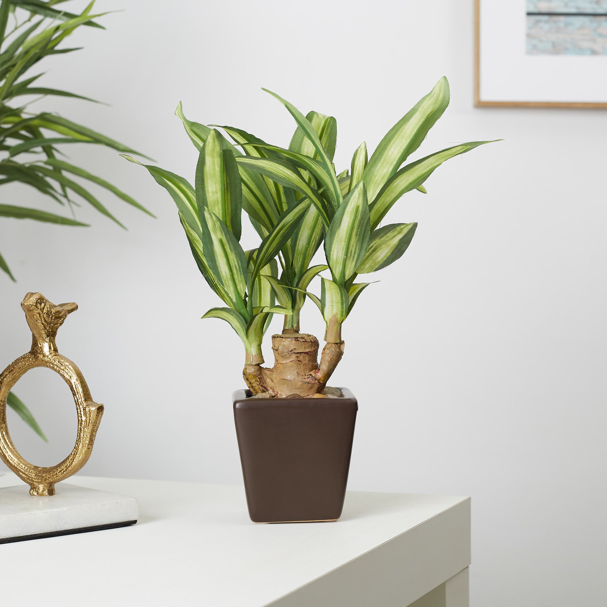 Ilana  Faux Mini Dracaena 1 Ceramic Potted Plant 24 Cm in Green Colour