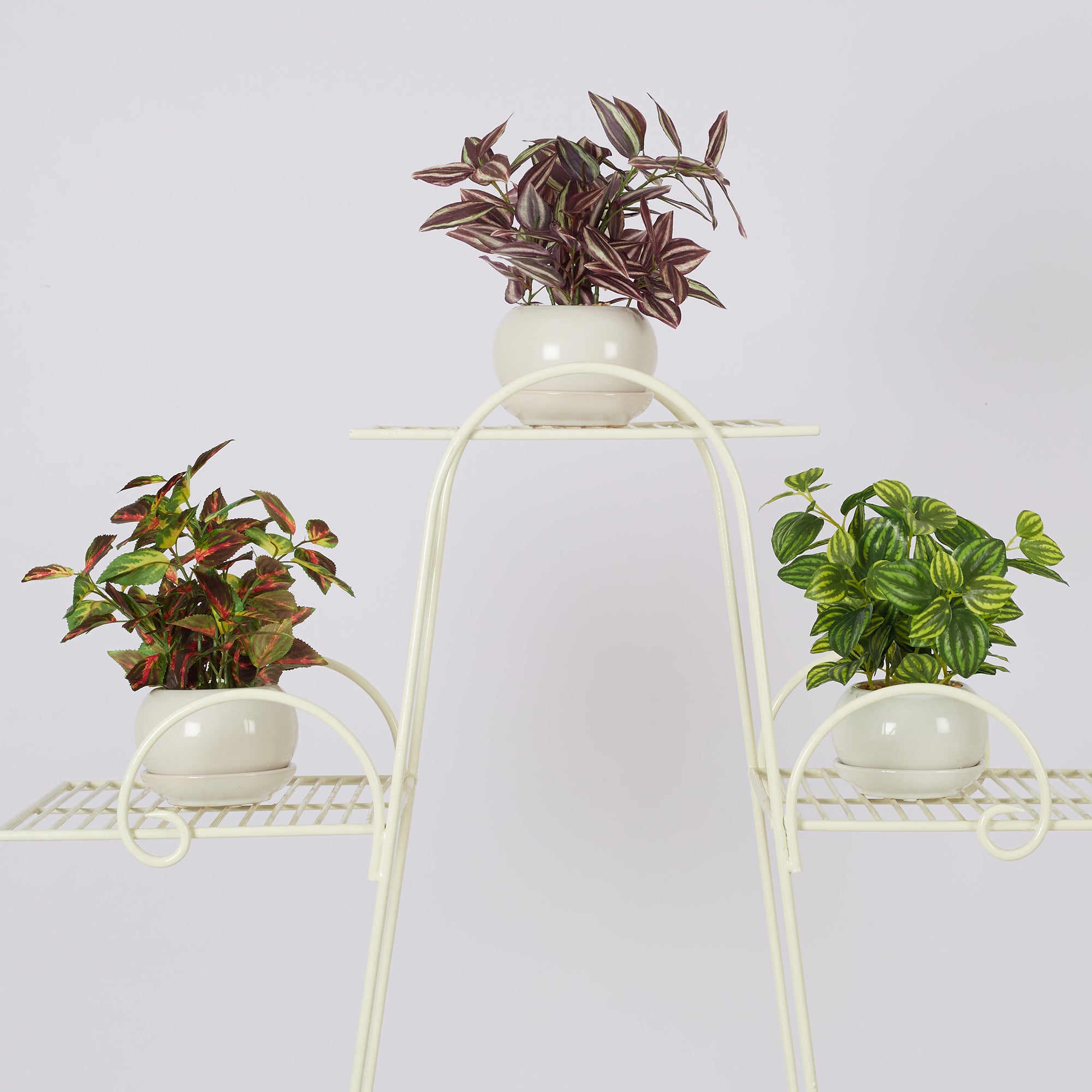 Ilana Faux Peperomia Ceramic Potted Plant 24 Cm in Green Colour