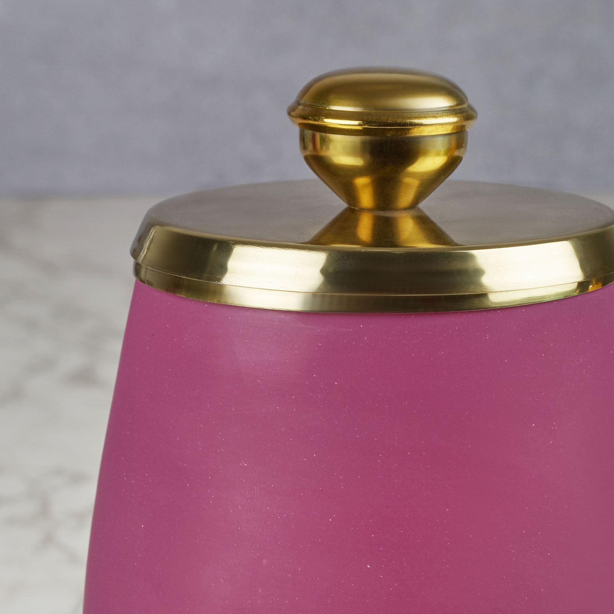 Emilia Glass Frosted Colored Tumbler in Plum Colour