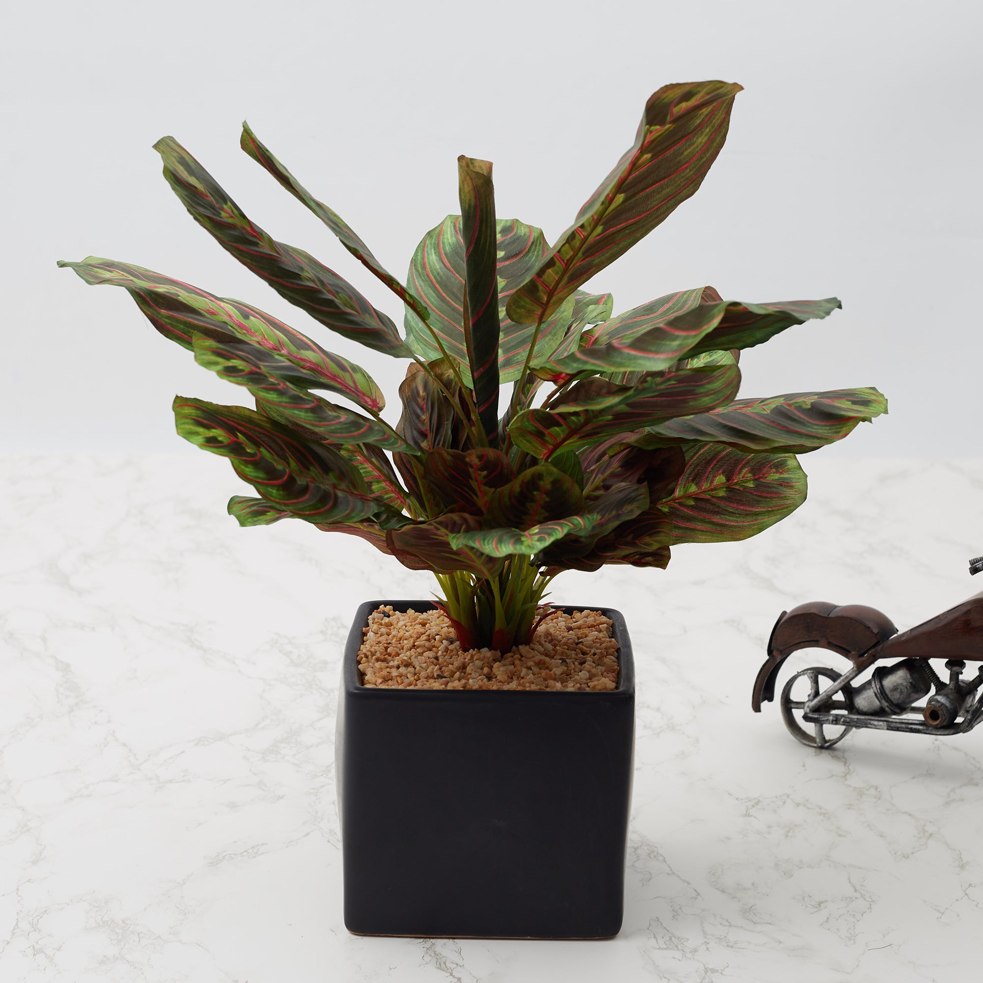 Ilana Faux Maranta Ceramic Potted Plant 45 Cm in Green Colour